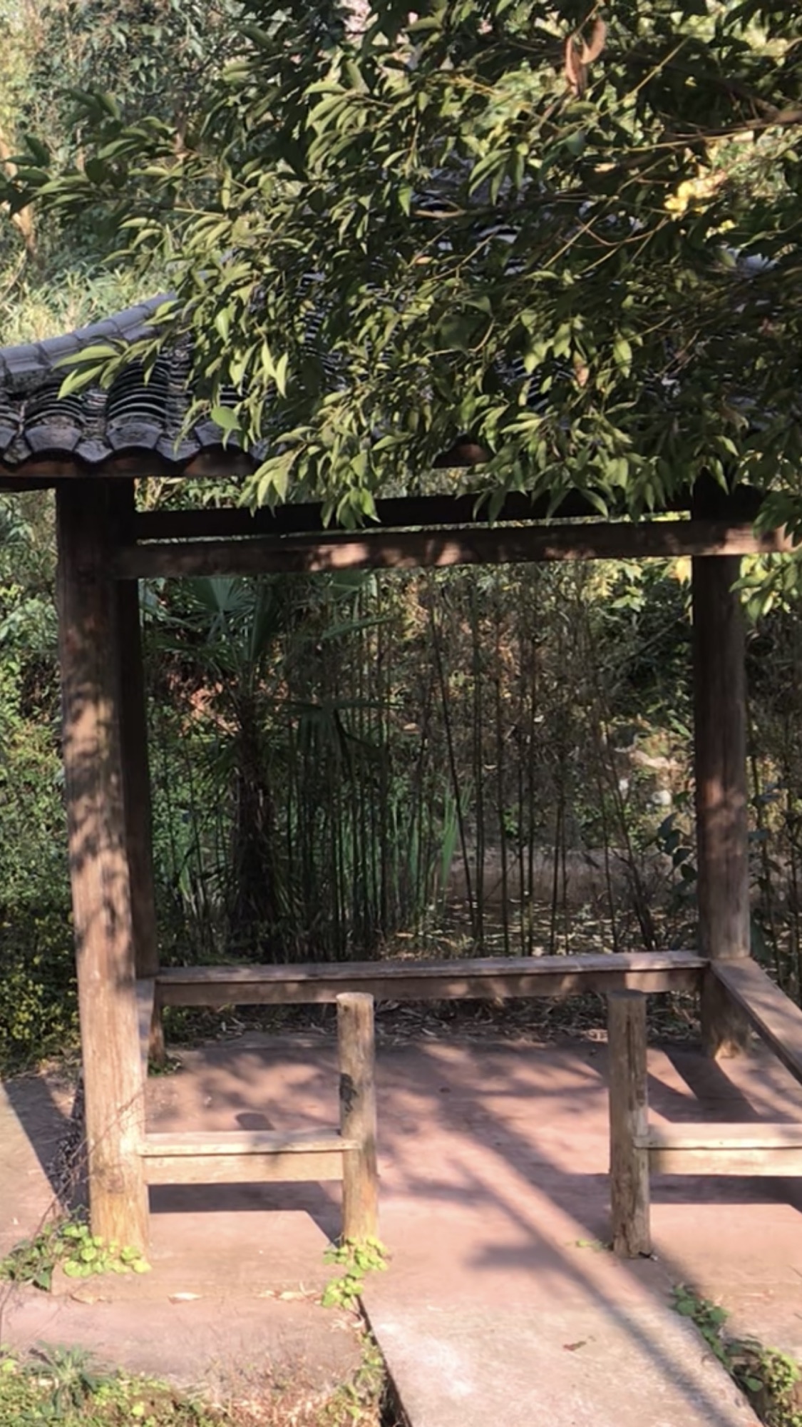 马朝香谷生态艺术村旅行图片 3