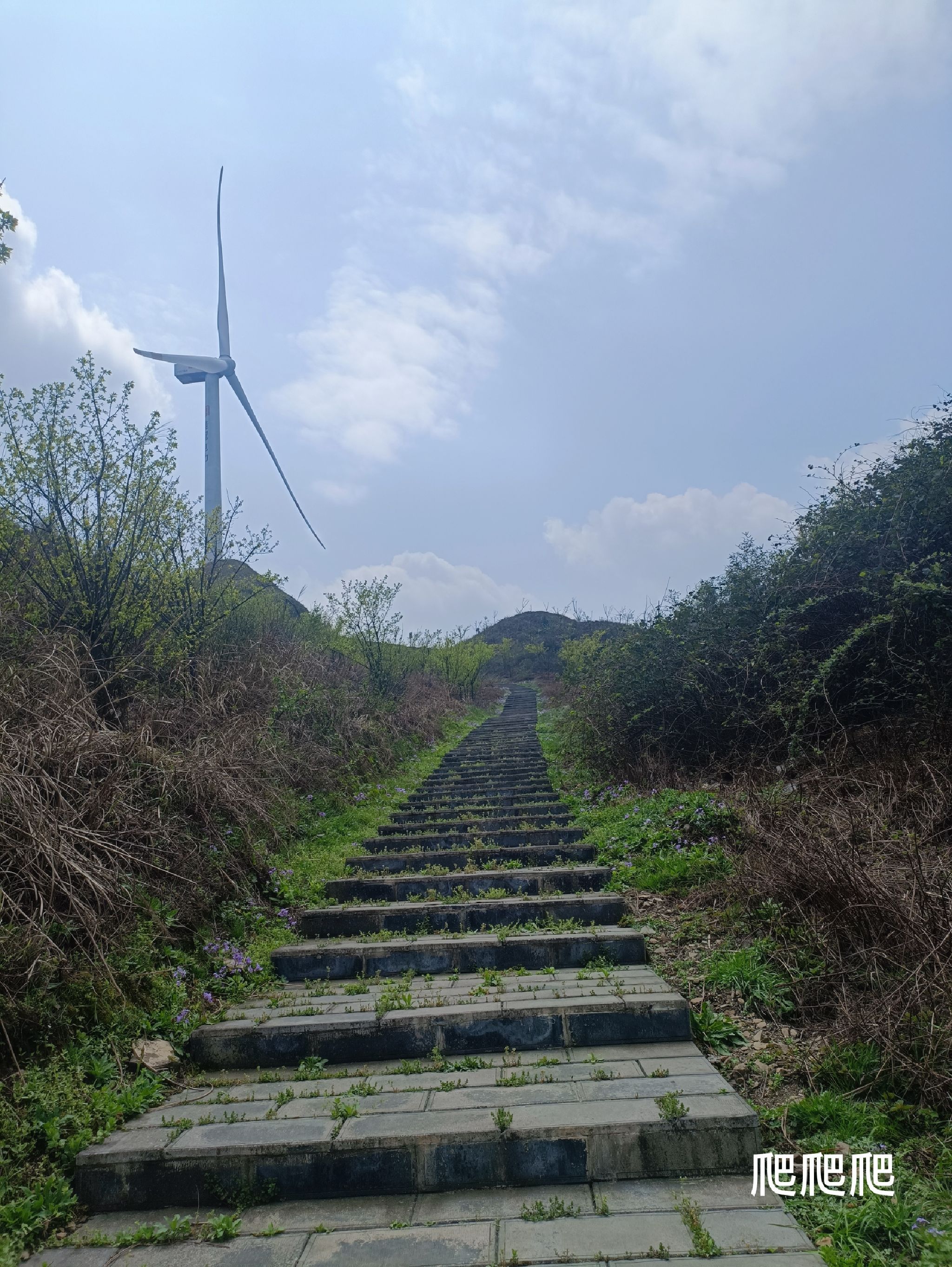 播州区洪关乡太阳坪景区旅行图片 3