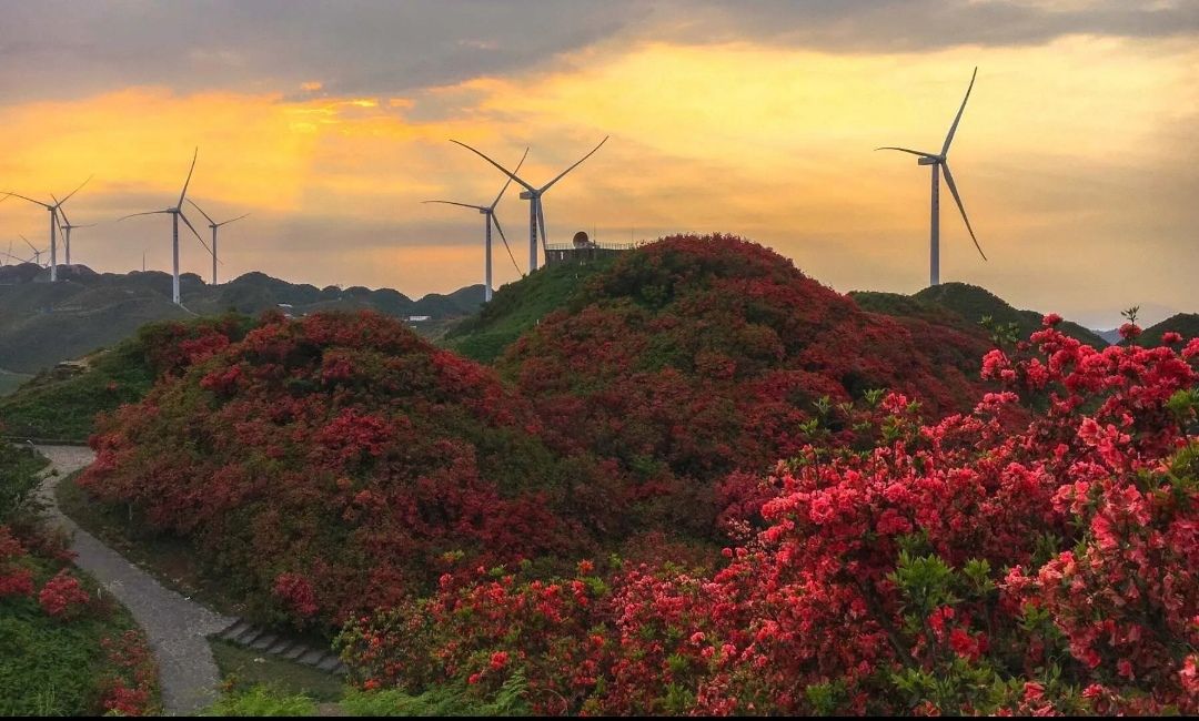 播州区洪关乡太阳坪景区旅行图片 3