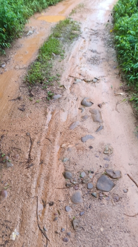 防城区扶隆镇电六村禾雀谷景区旅行图片 3