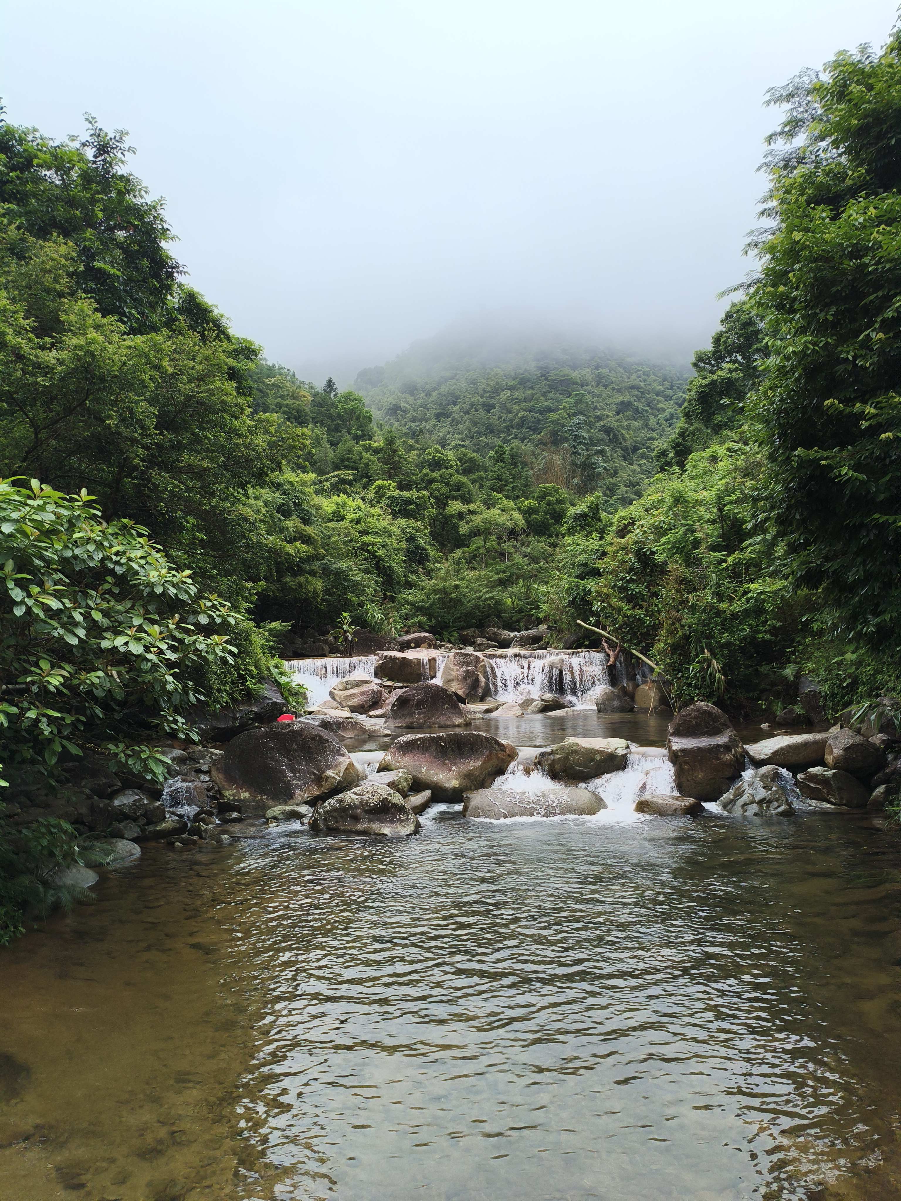防城区扶隆镇电六村禾雀谷景区旅行图片 2