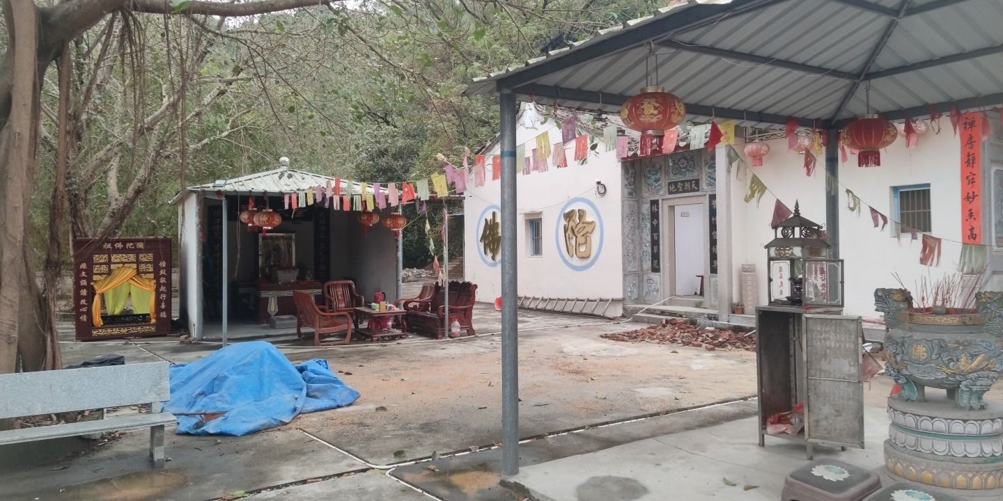 紫竹林旅行图片 3