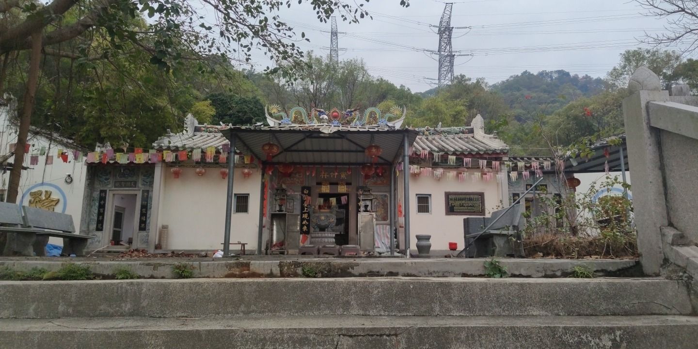 紫竹林旅行图片 2