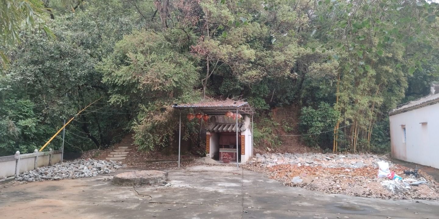 紫竹林旅行图片 1