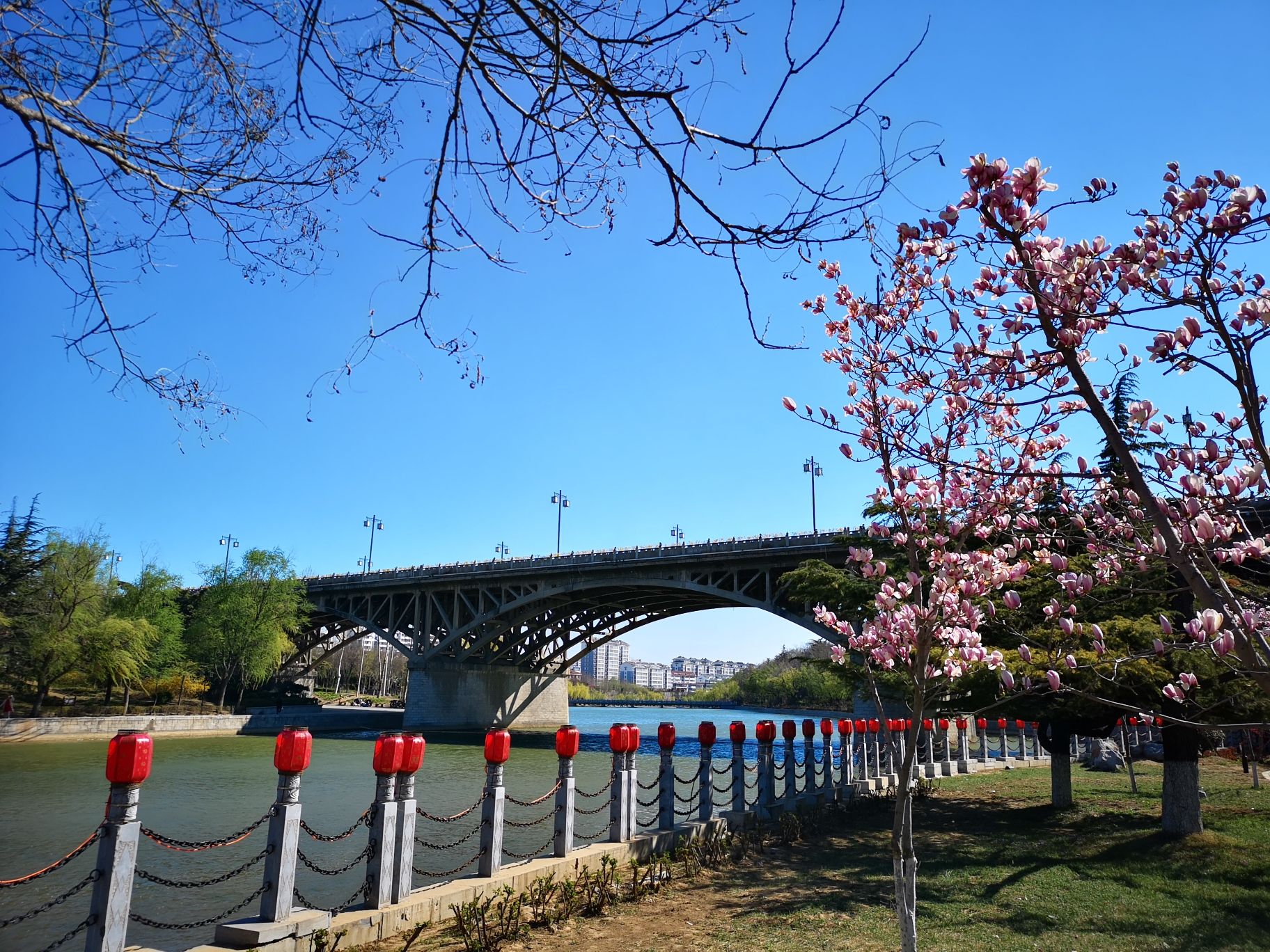 青州市南阳河景区旅行图片 1