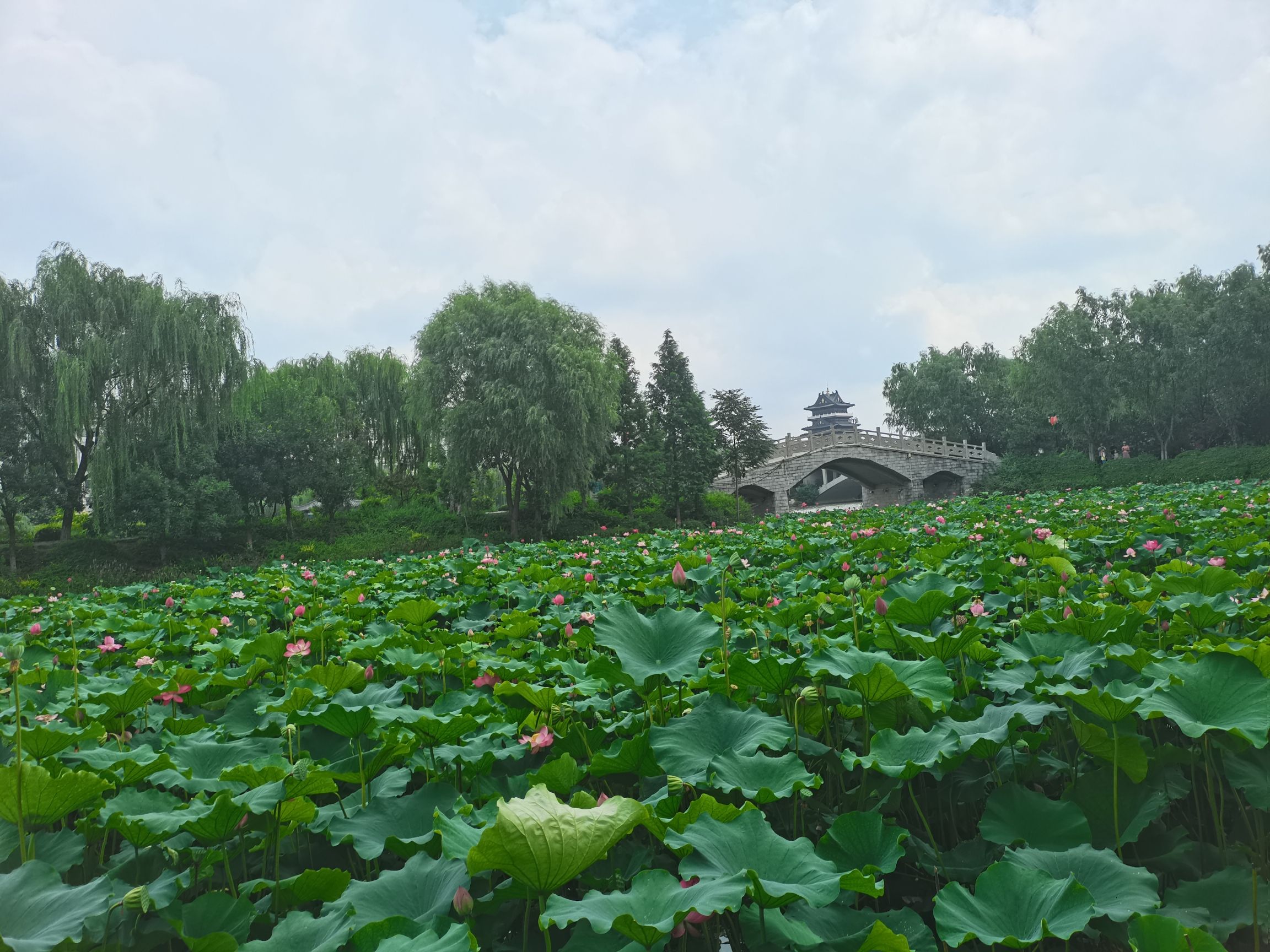 青州市南阳河景区旅行图片 3