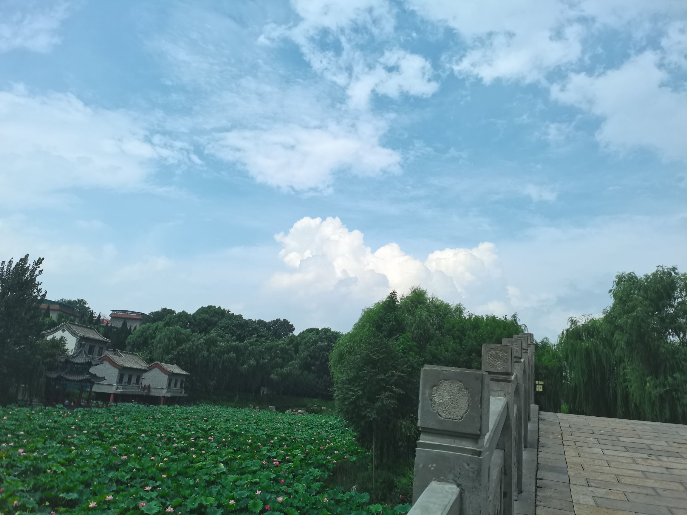 青州市南阳河景区旅行图片 1