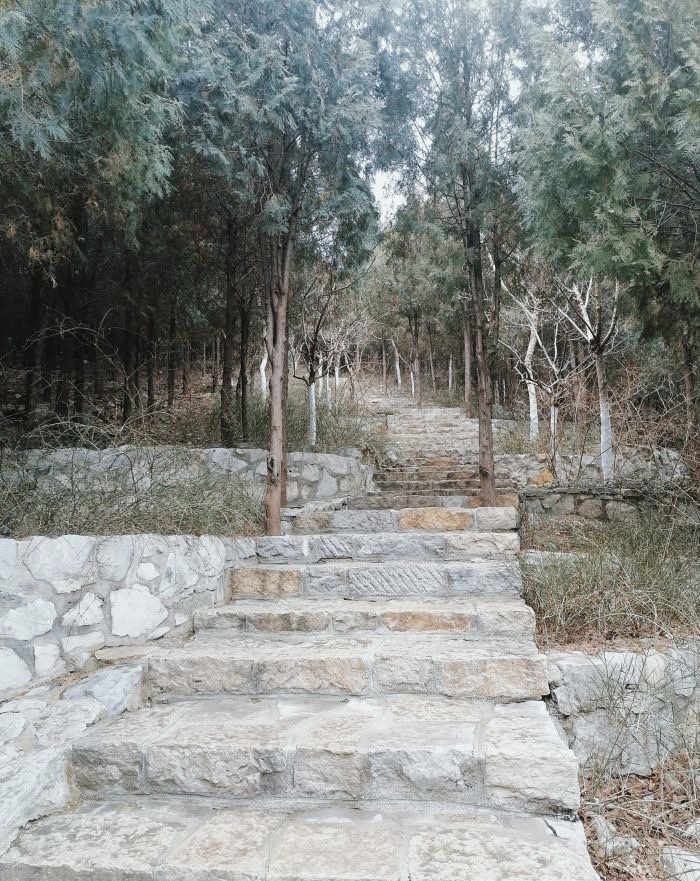 卧虎山山体公园旅行图片 3