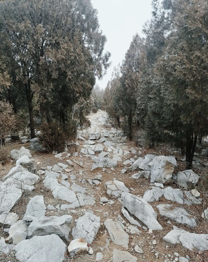 卧虎山山体公园旅行图片 1