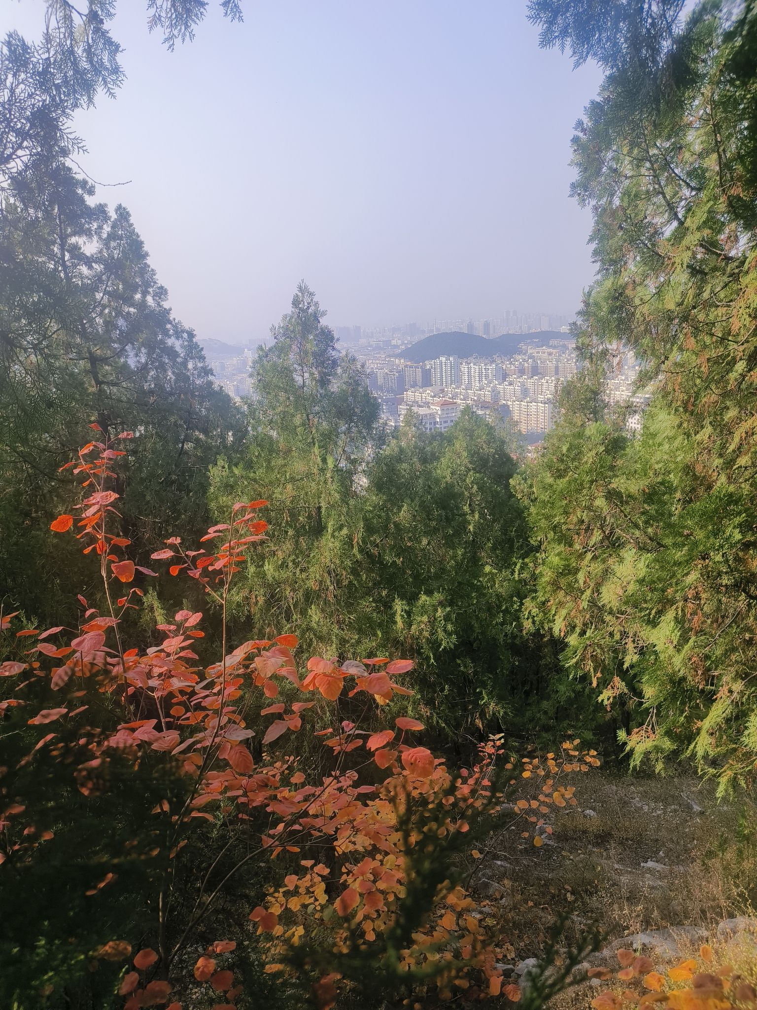 卧虎山山体公园旅行图片 1