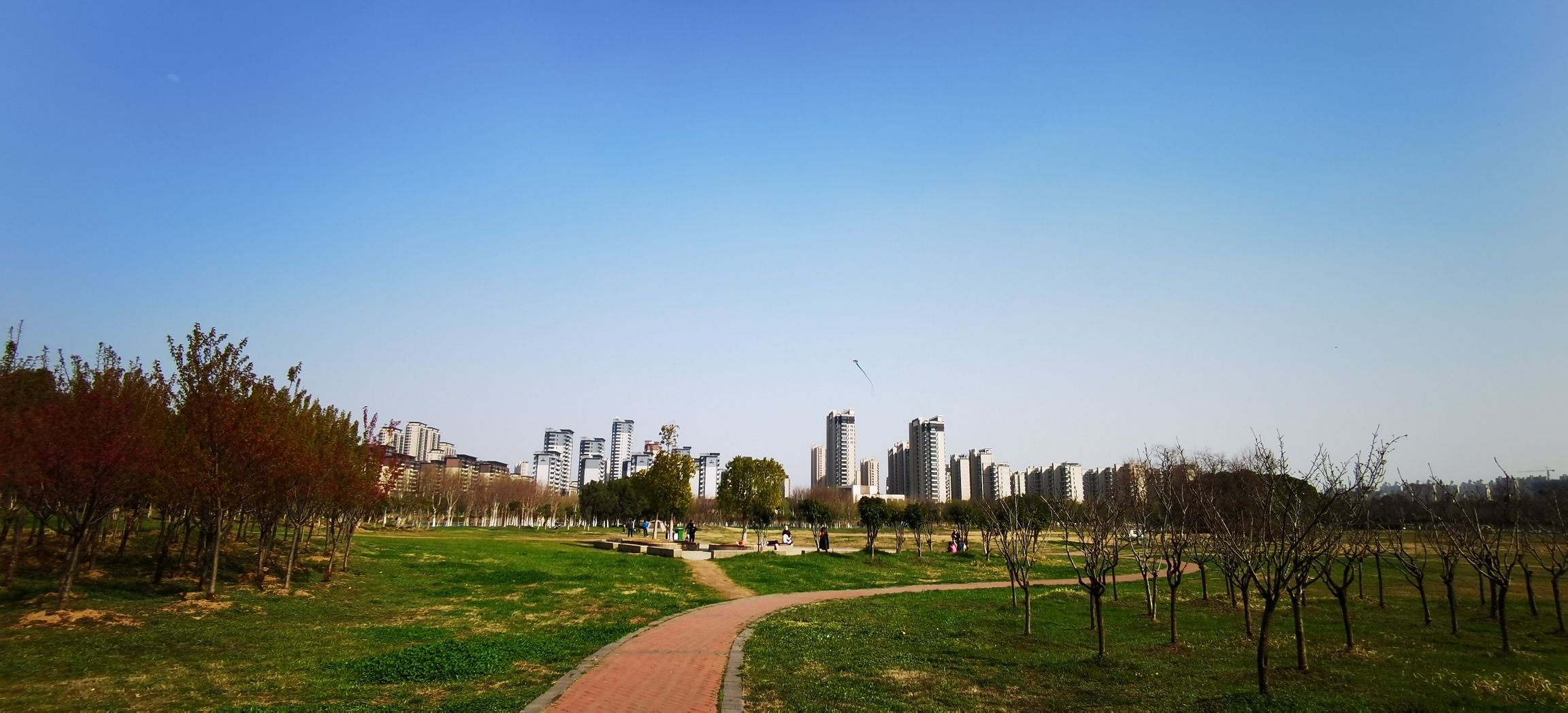 学林体育公园旅行图片 2