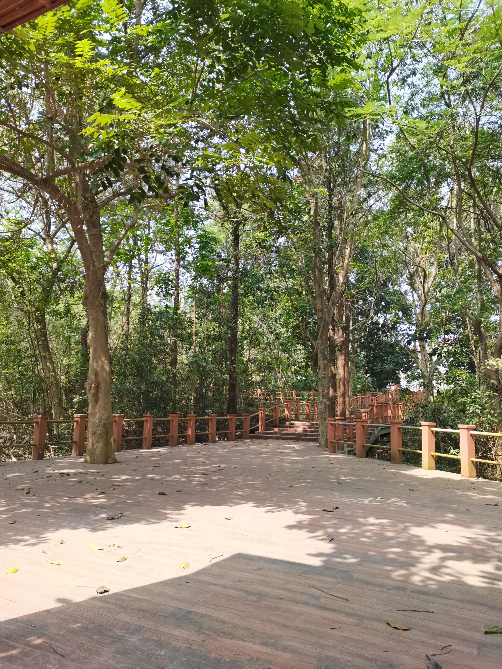 螺岗岭森林公园旅行图片 2