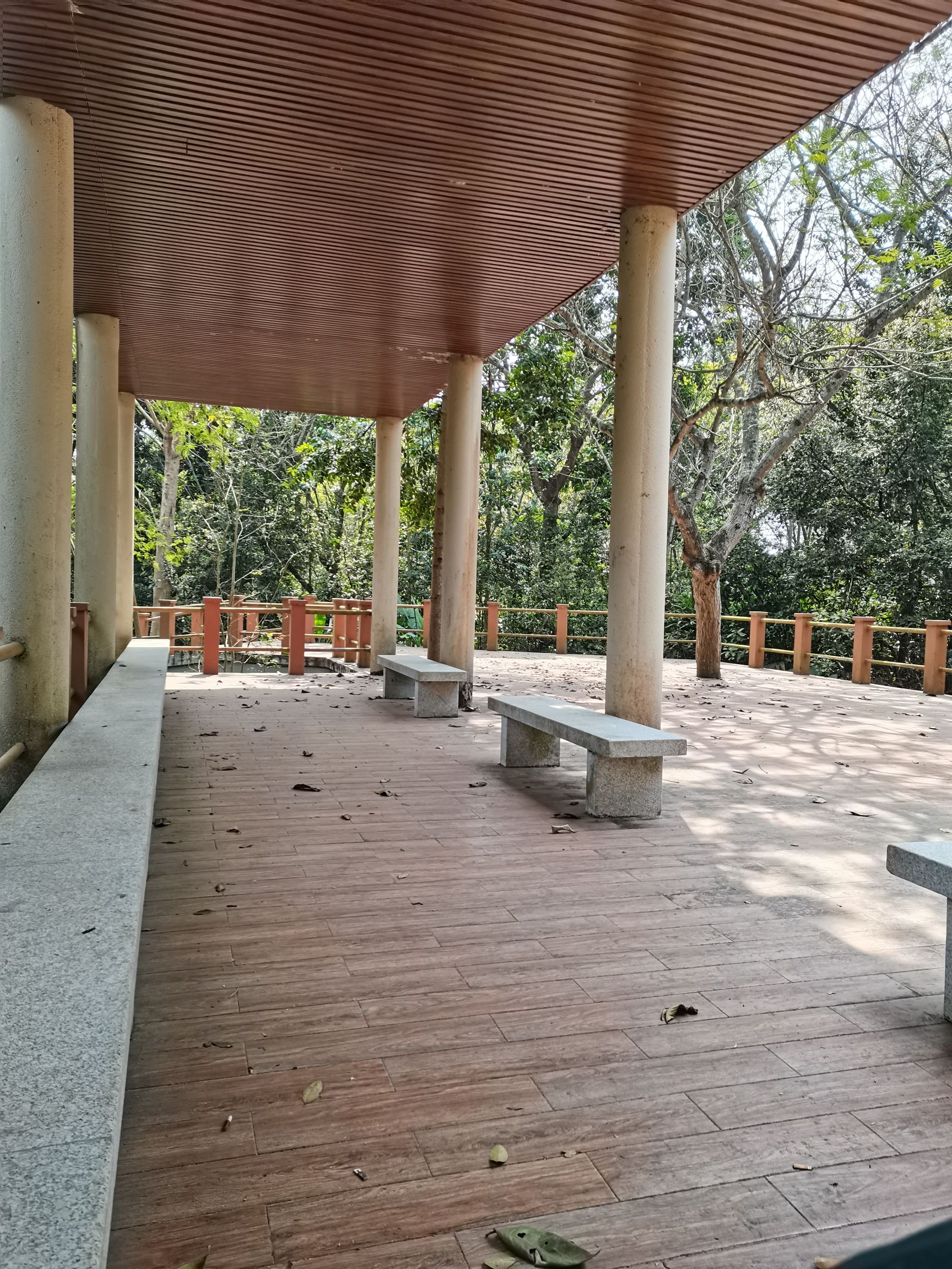 螺岗岭森林公园旅行图片 1