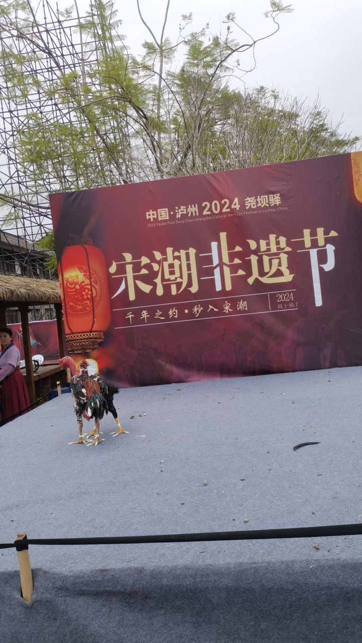 尧坝驿旅行图片 2