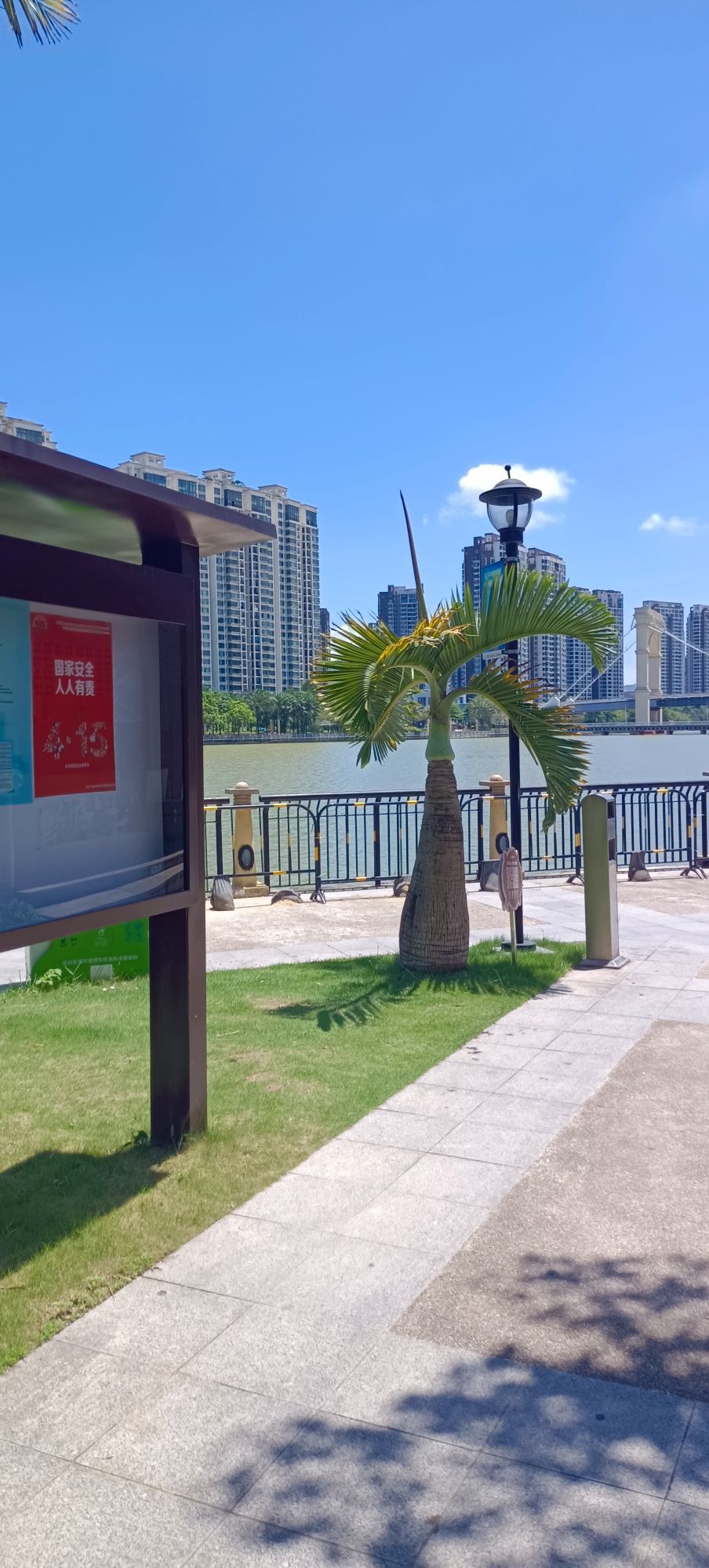 前河北路沿河公园旅行图片 1