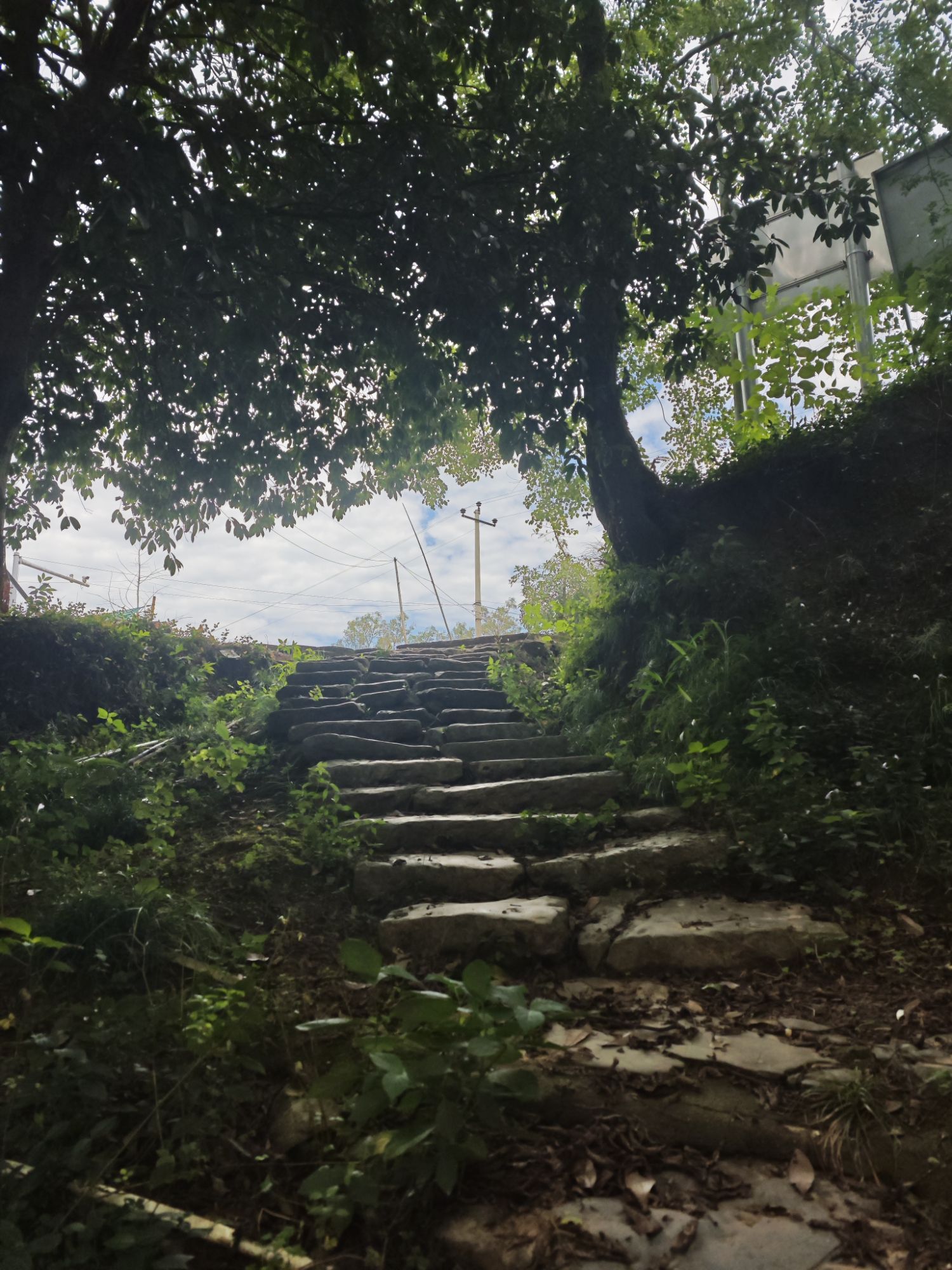 保和月亮湾湿地公园旅行图片 1