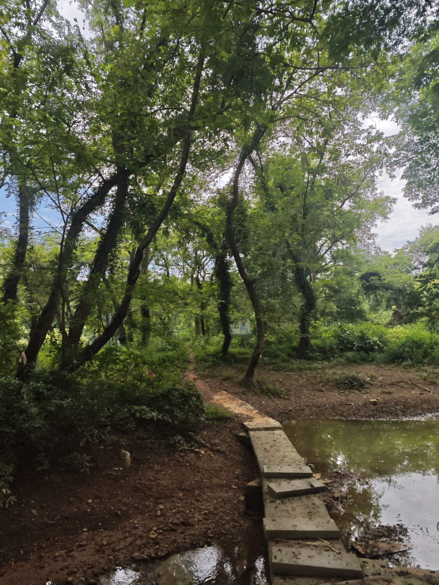 保和月亮湾湿地公园旅行图片 2