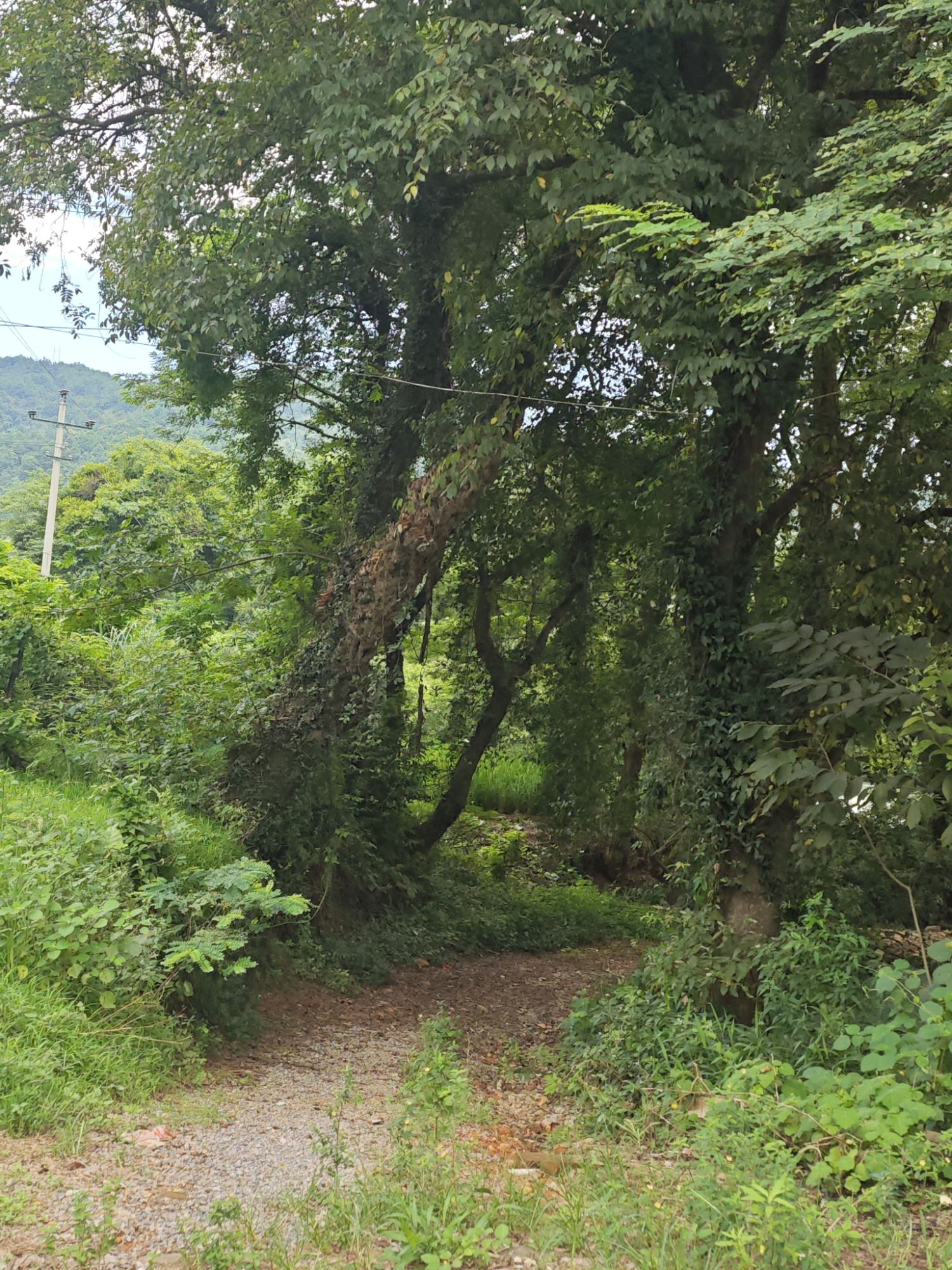 保和月亮湾湿地公园旅行图片 3