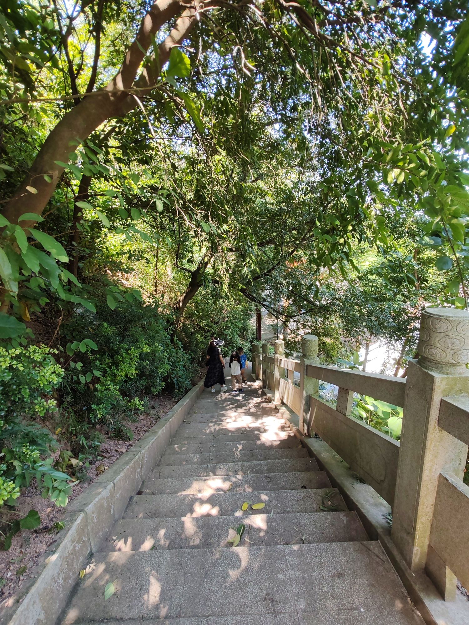观山公园旅行图片 2