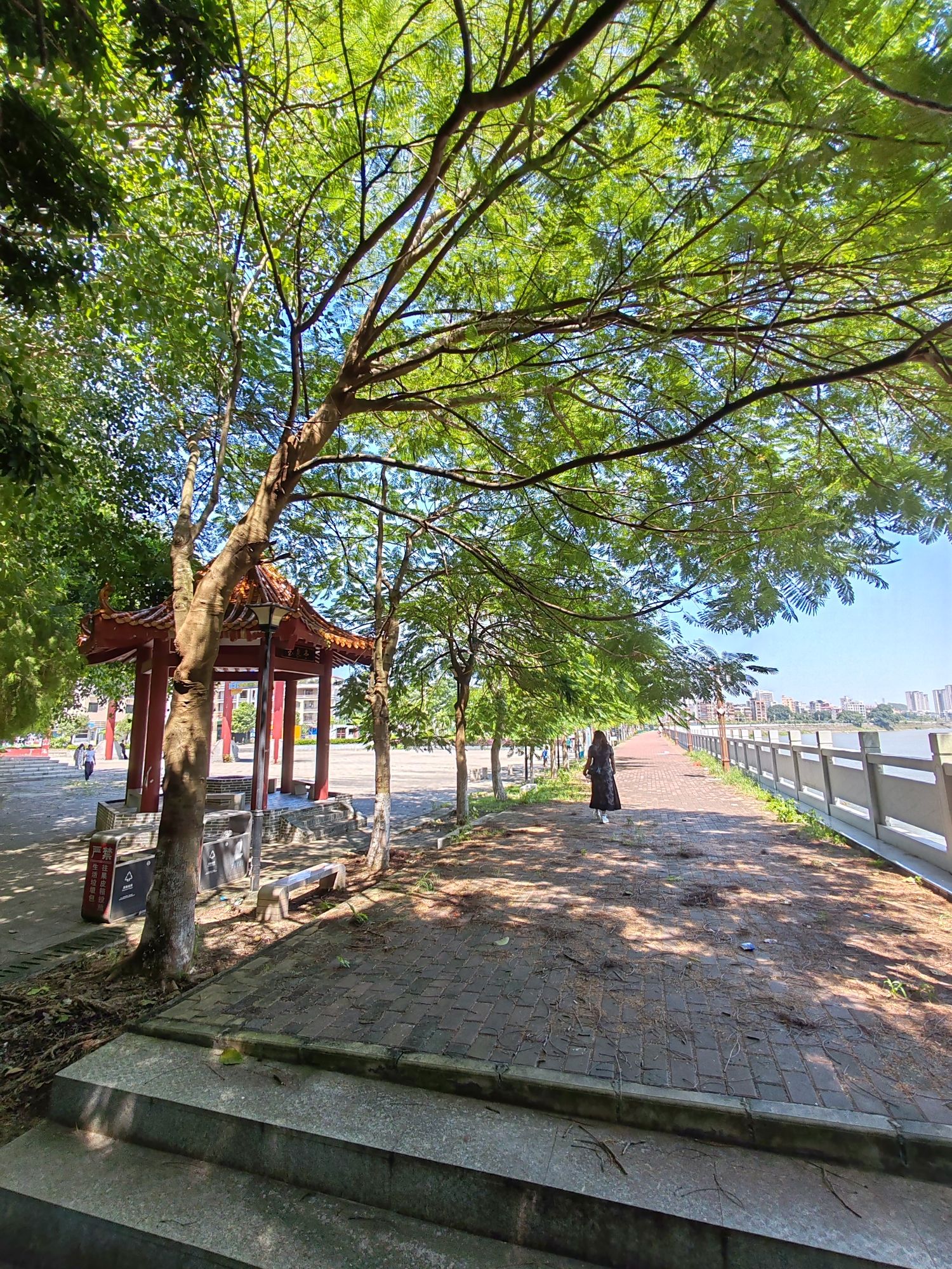 观山公园旅行图片 1
