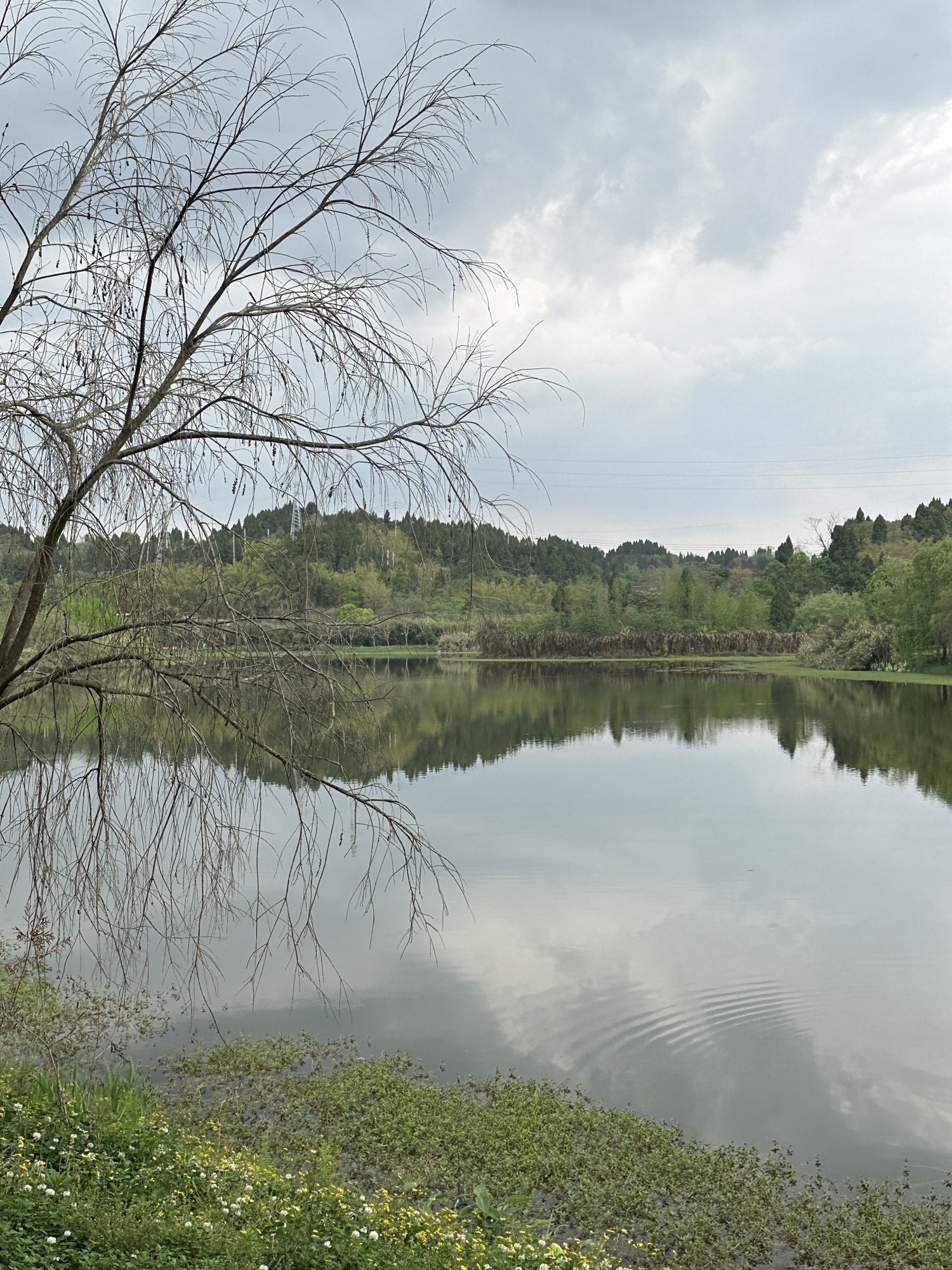研溪湿地公园旅行图片 3