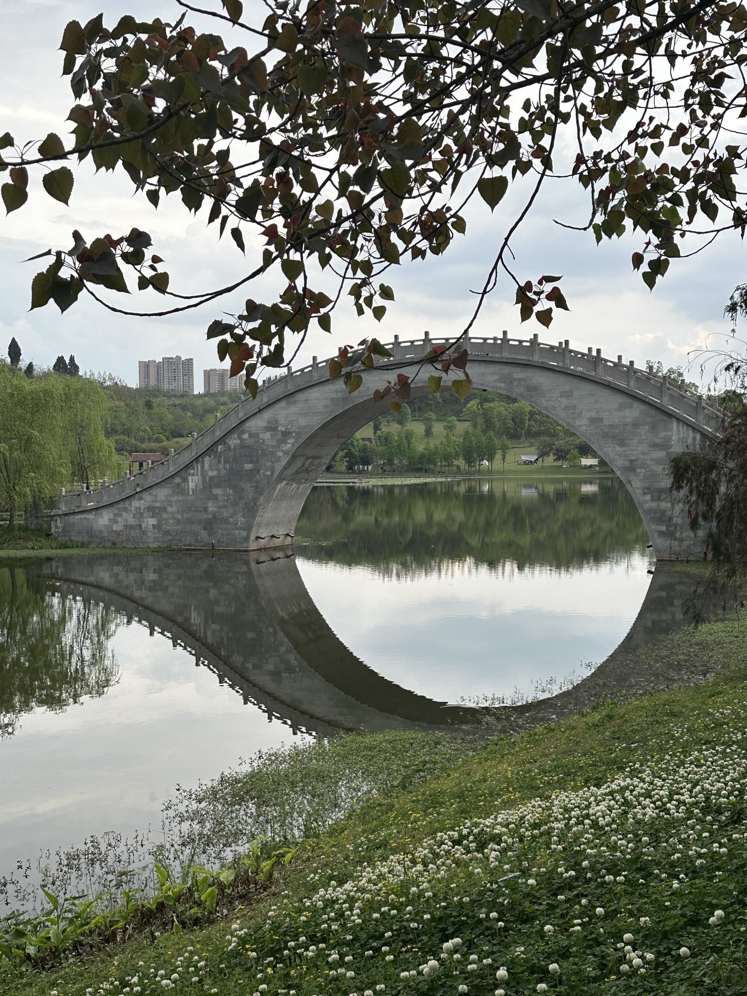 研溪湿地公园旅行图片 2