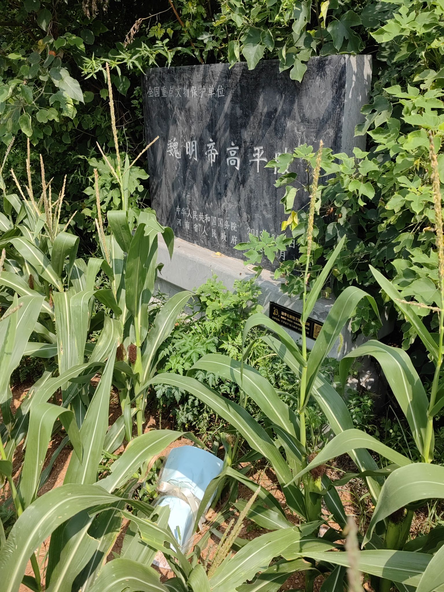 魏明帝高平陵旅行图片 3