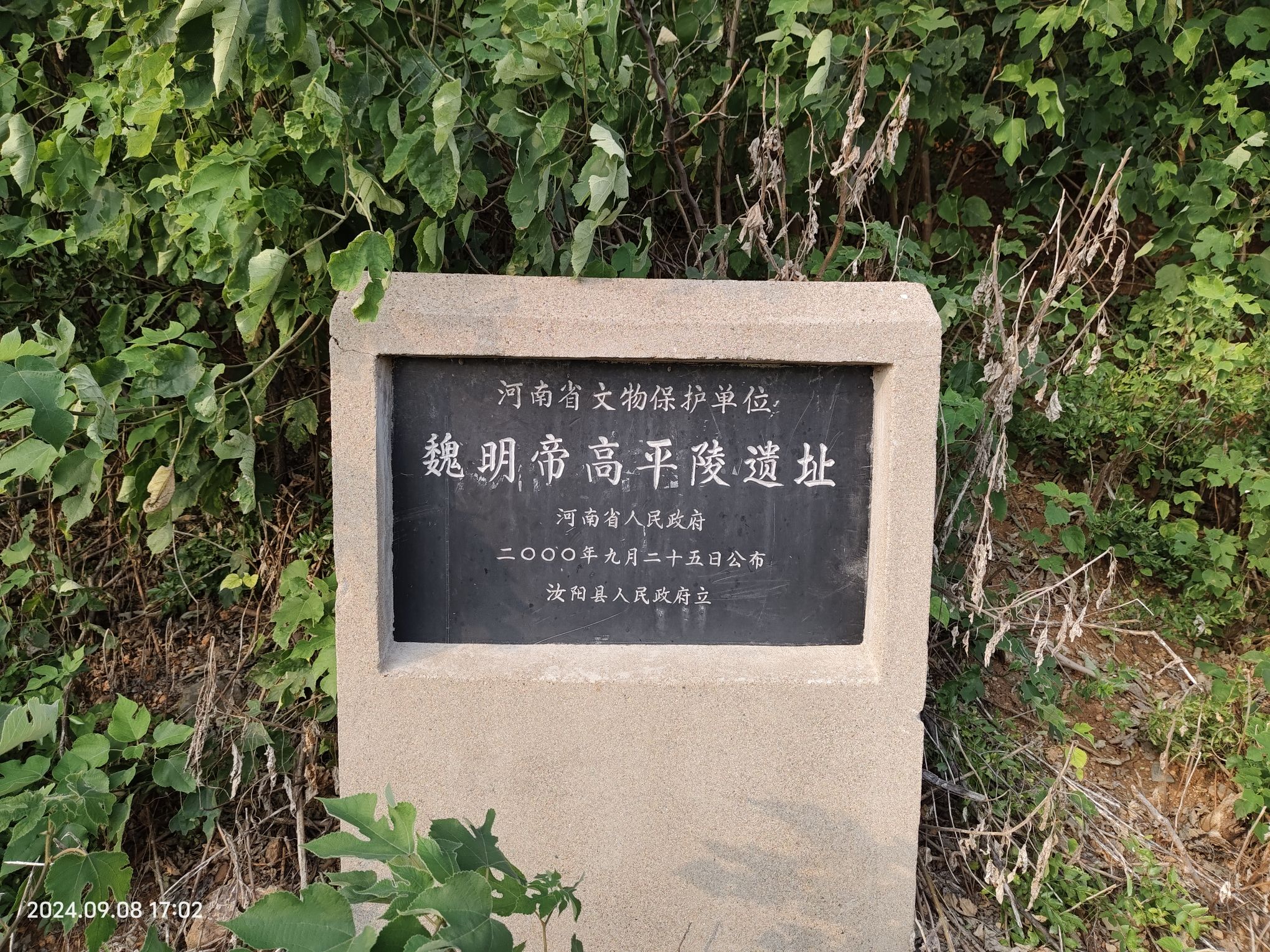魏明帝高平陵旅行图片 3