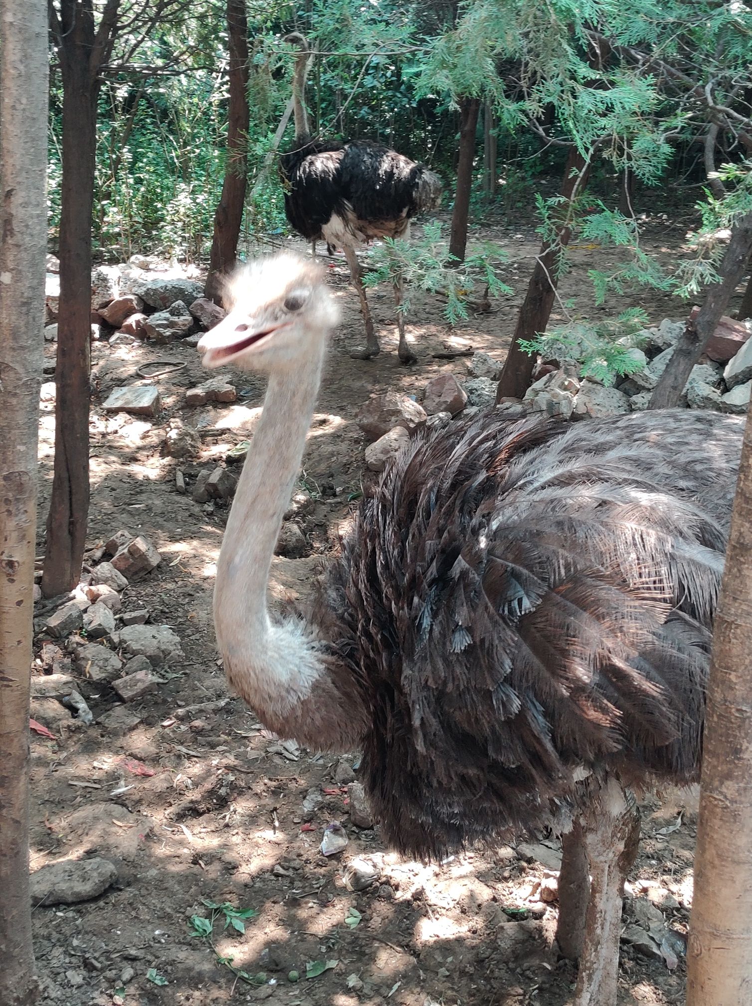 湛河源莲花湿地旅行图片 3