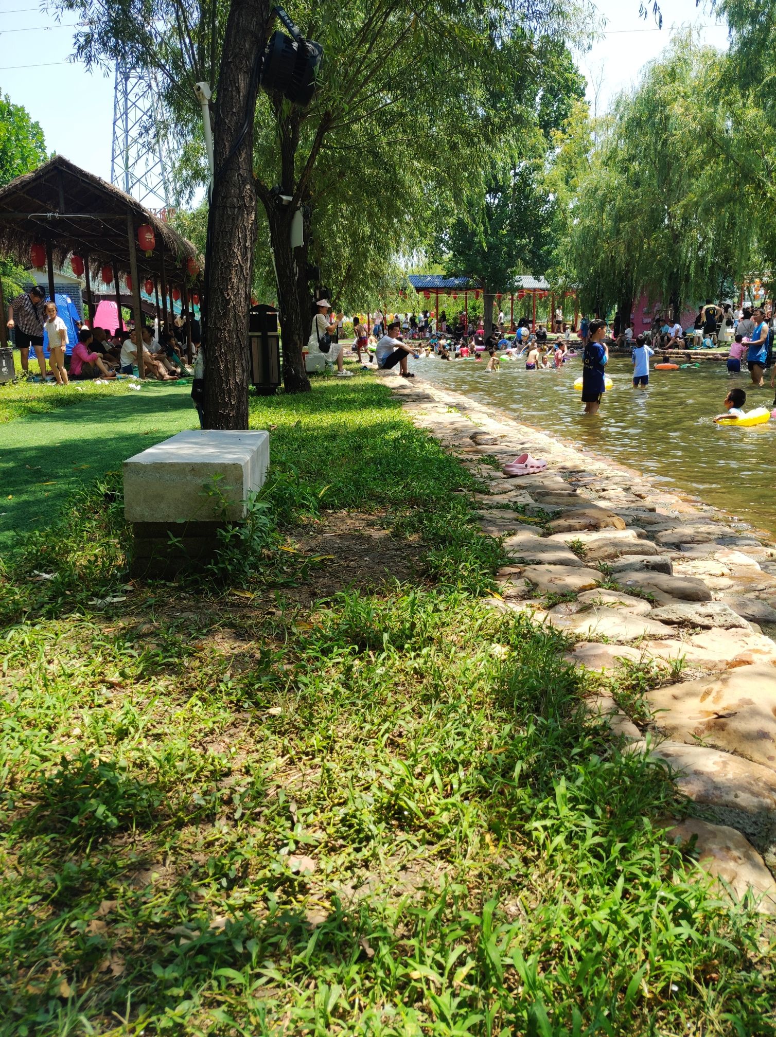 湛河源莲花湿地旅行图片 2