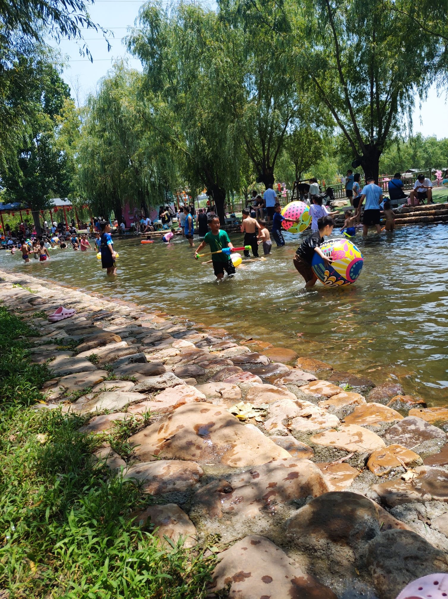 湛河源莲花湿地旅行图片 1