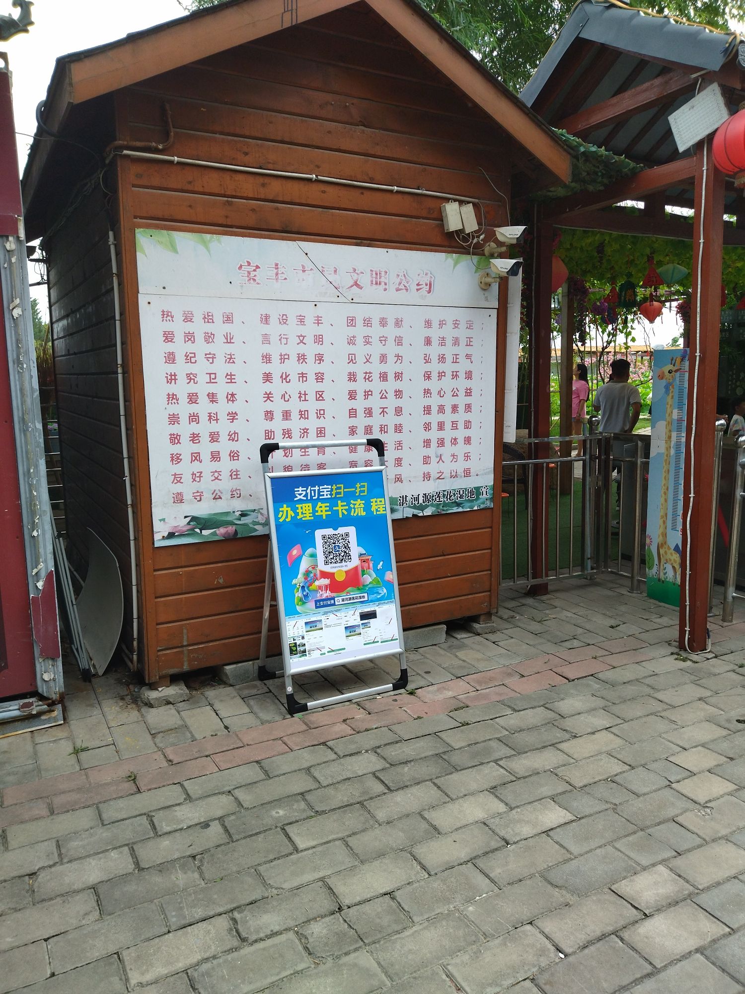 湛河源莲花湿地旅行图片 2