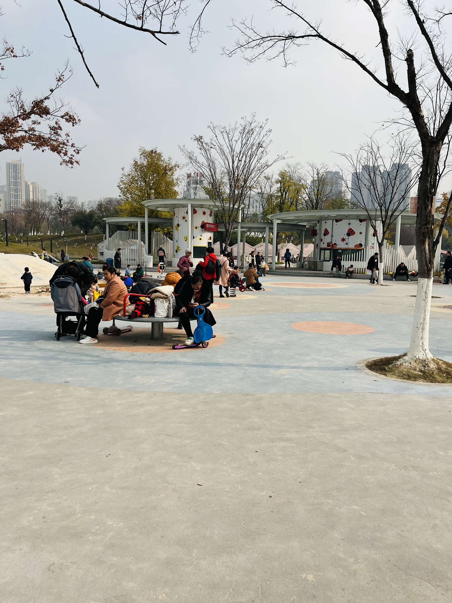 金州公园旅行图片 2