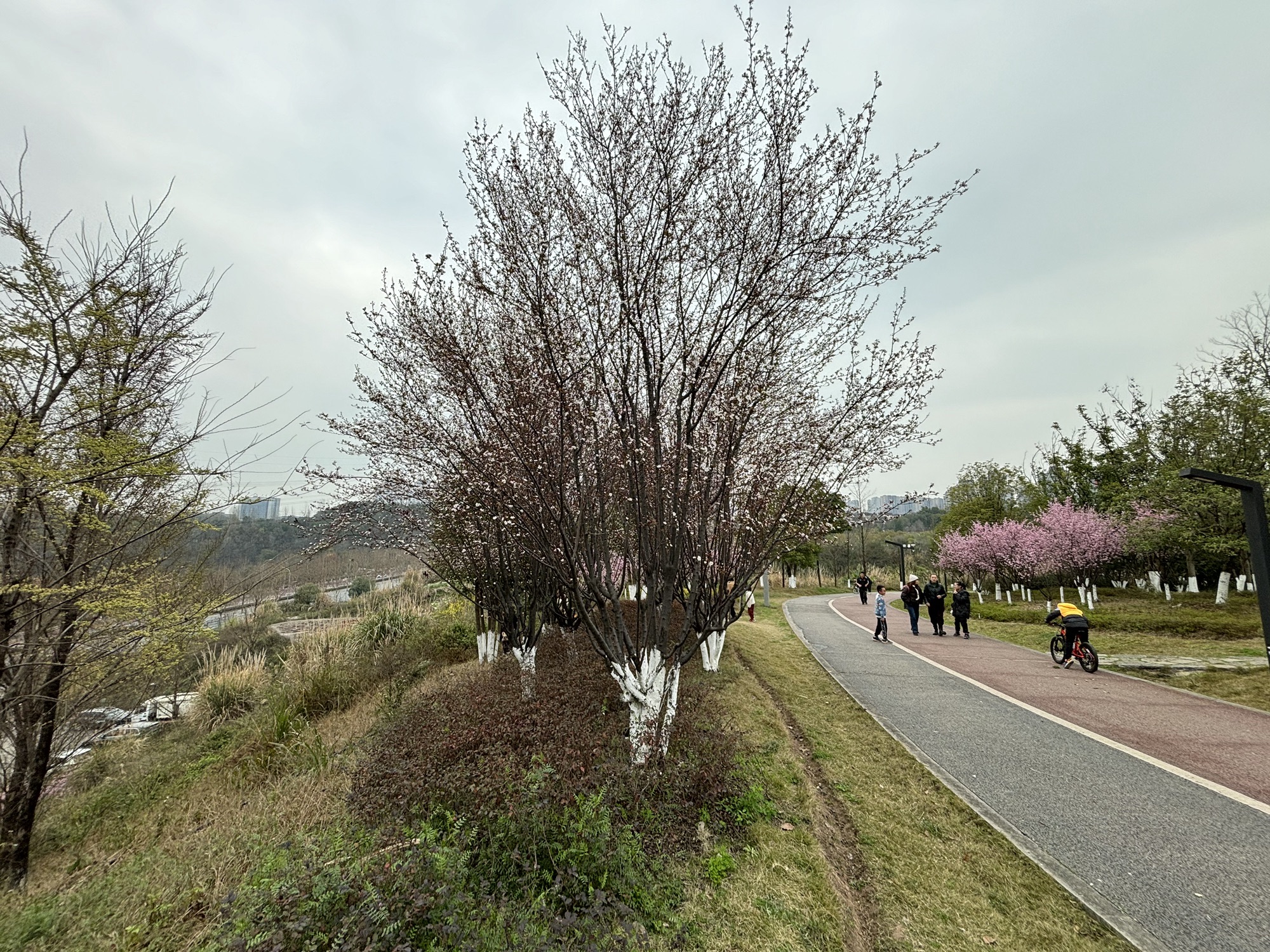 金州公园旅行图片 3