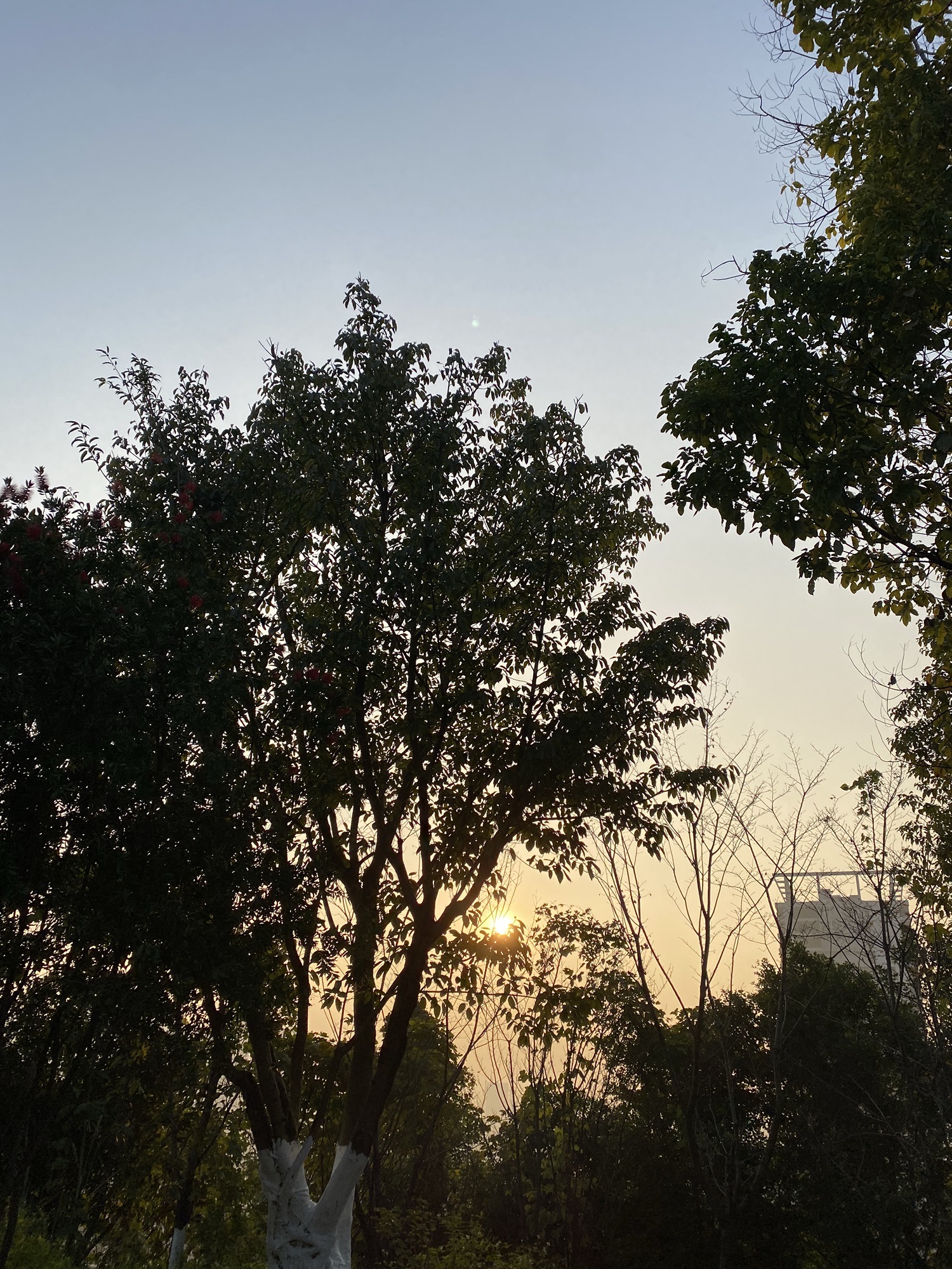 金州公园旅行图片 1