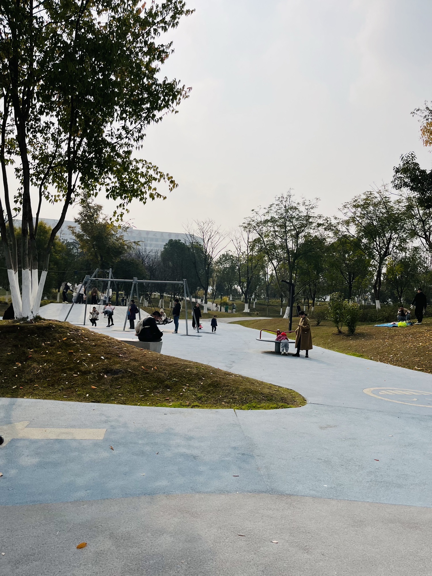 金州公园旅行图片 3