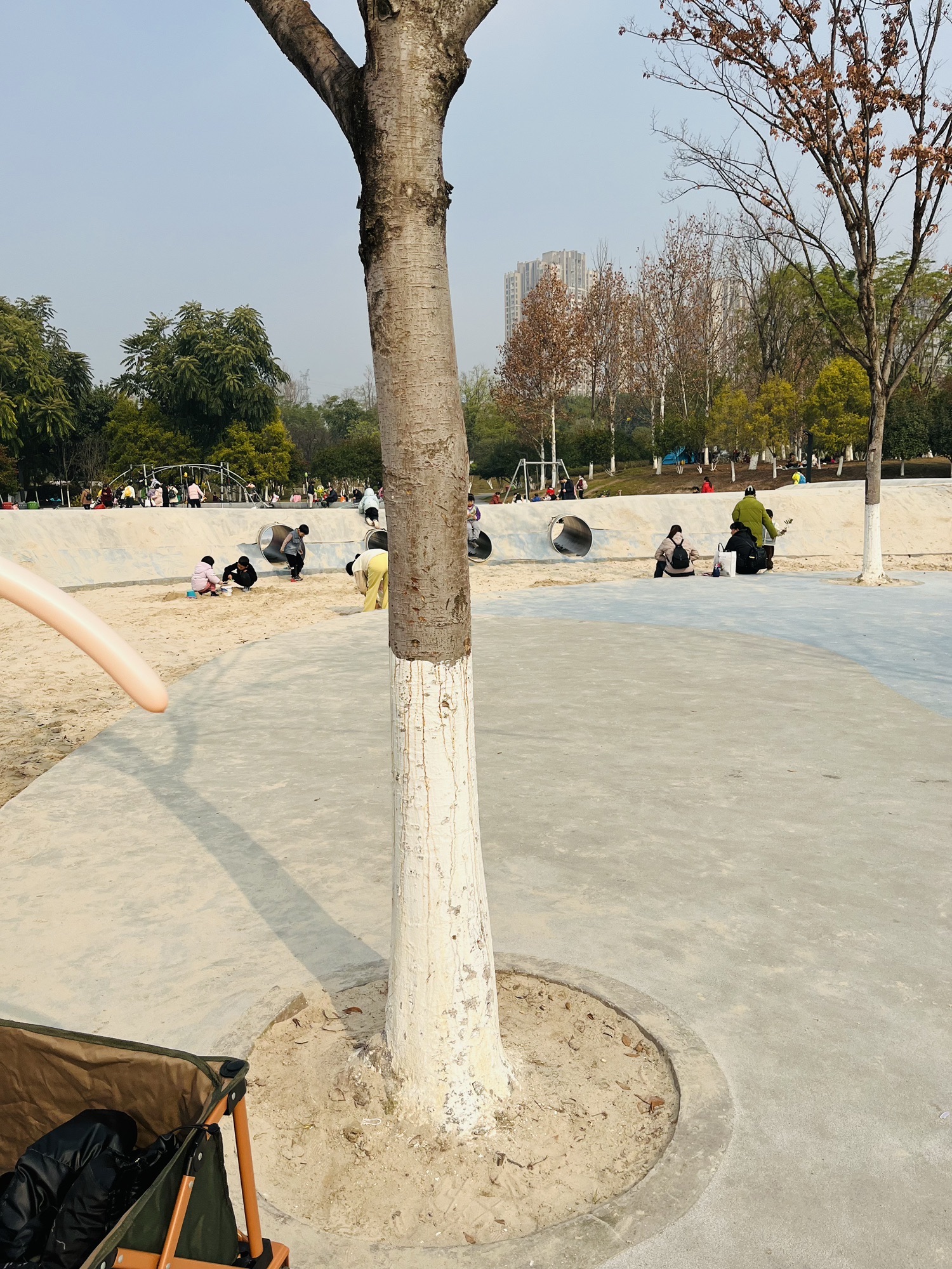 金州公园旅行图片 1