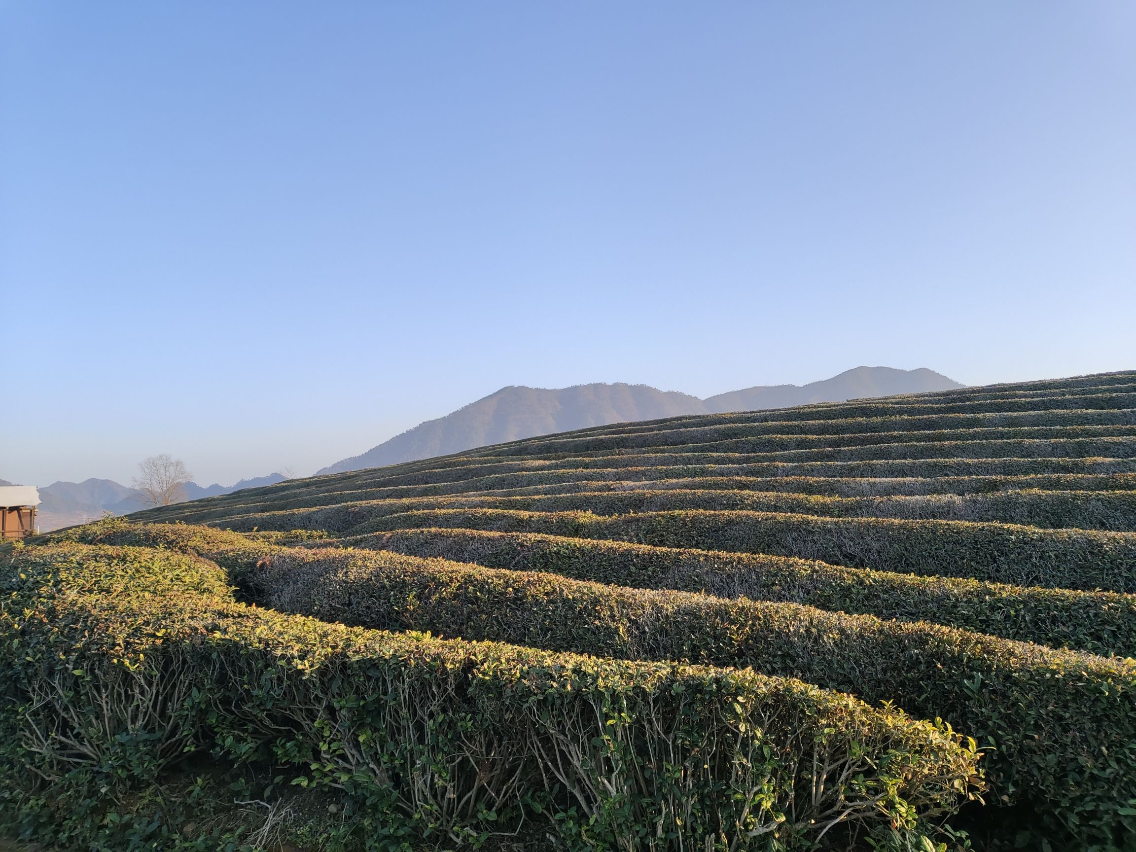 印象路西(暂停开放)旅行图片 3