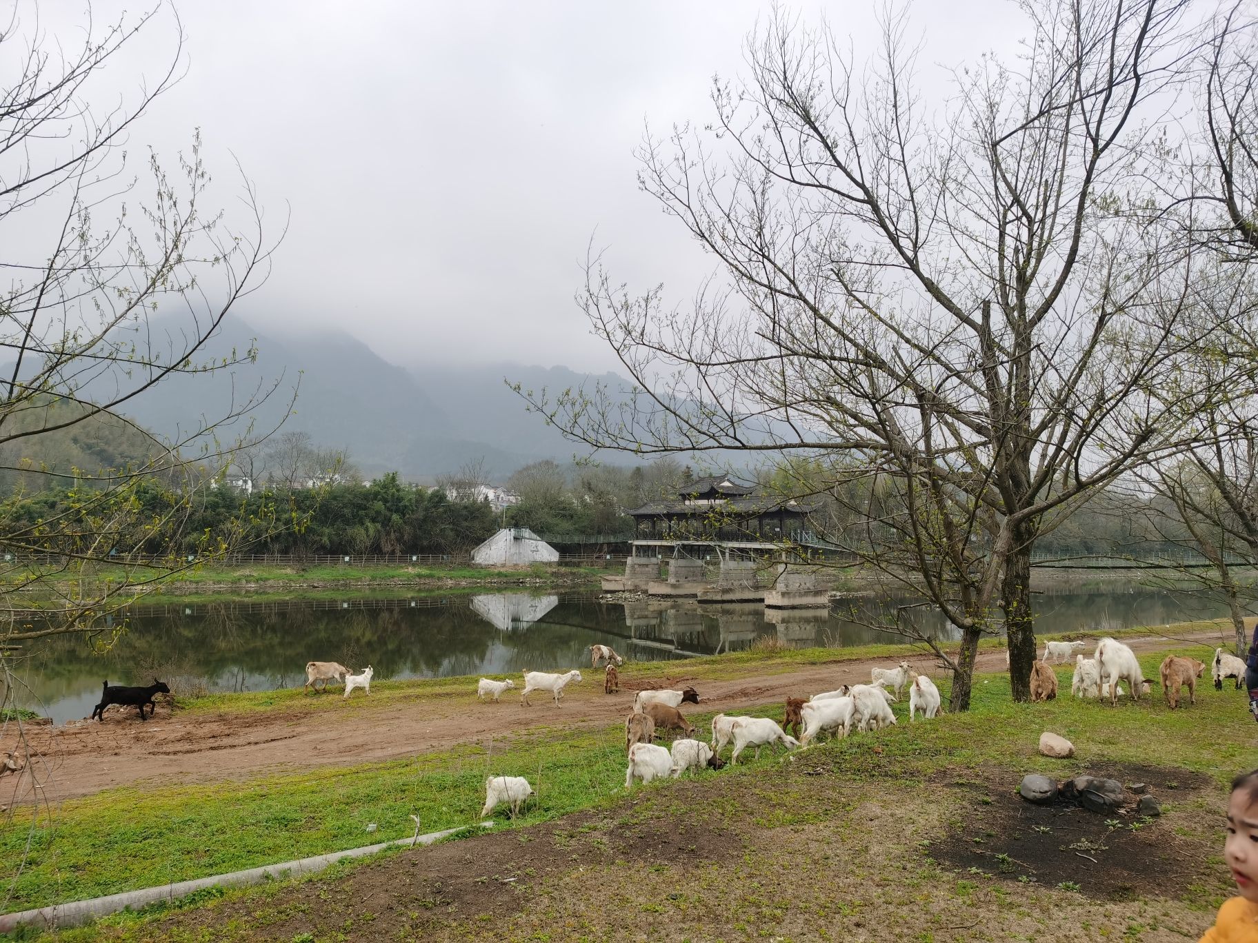 印象路西(暂停开放)旅行图片 3