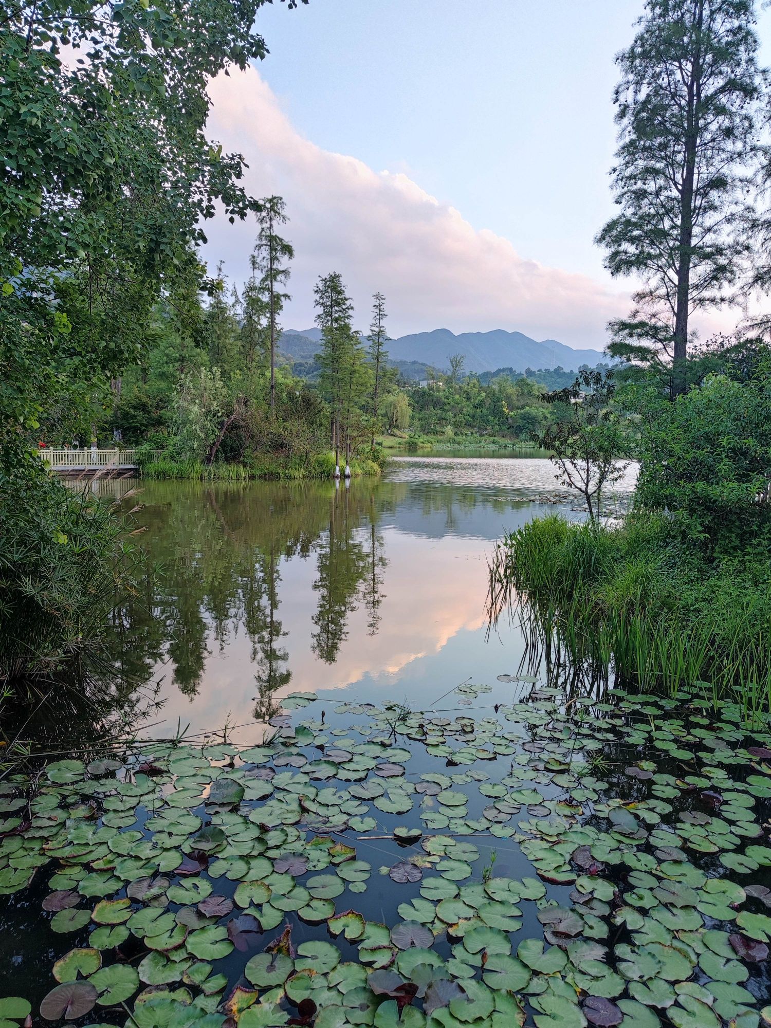 书香公园旅行图片 3