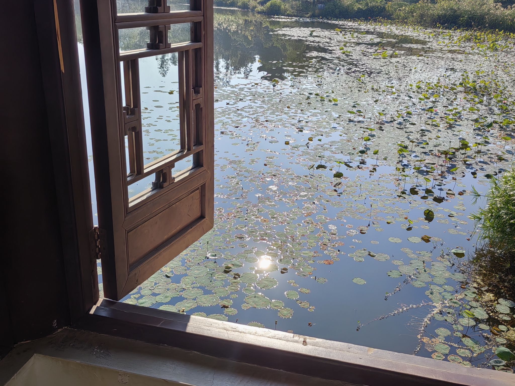 书香公园旅行图片 1