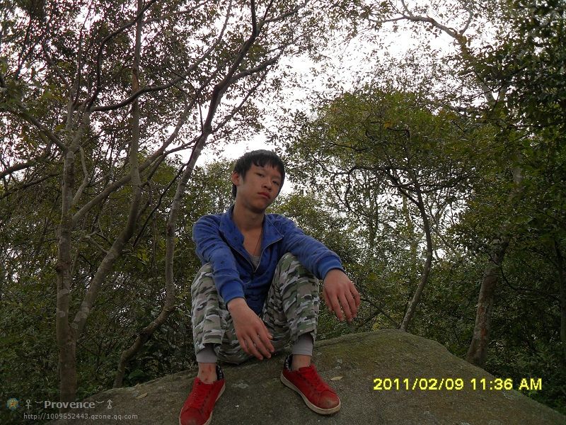 白云坡森林公园旅行图片 2
