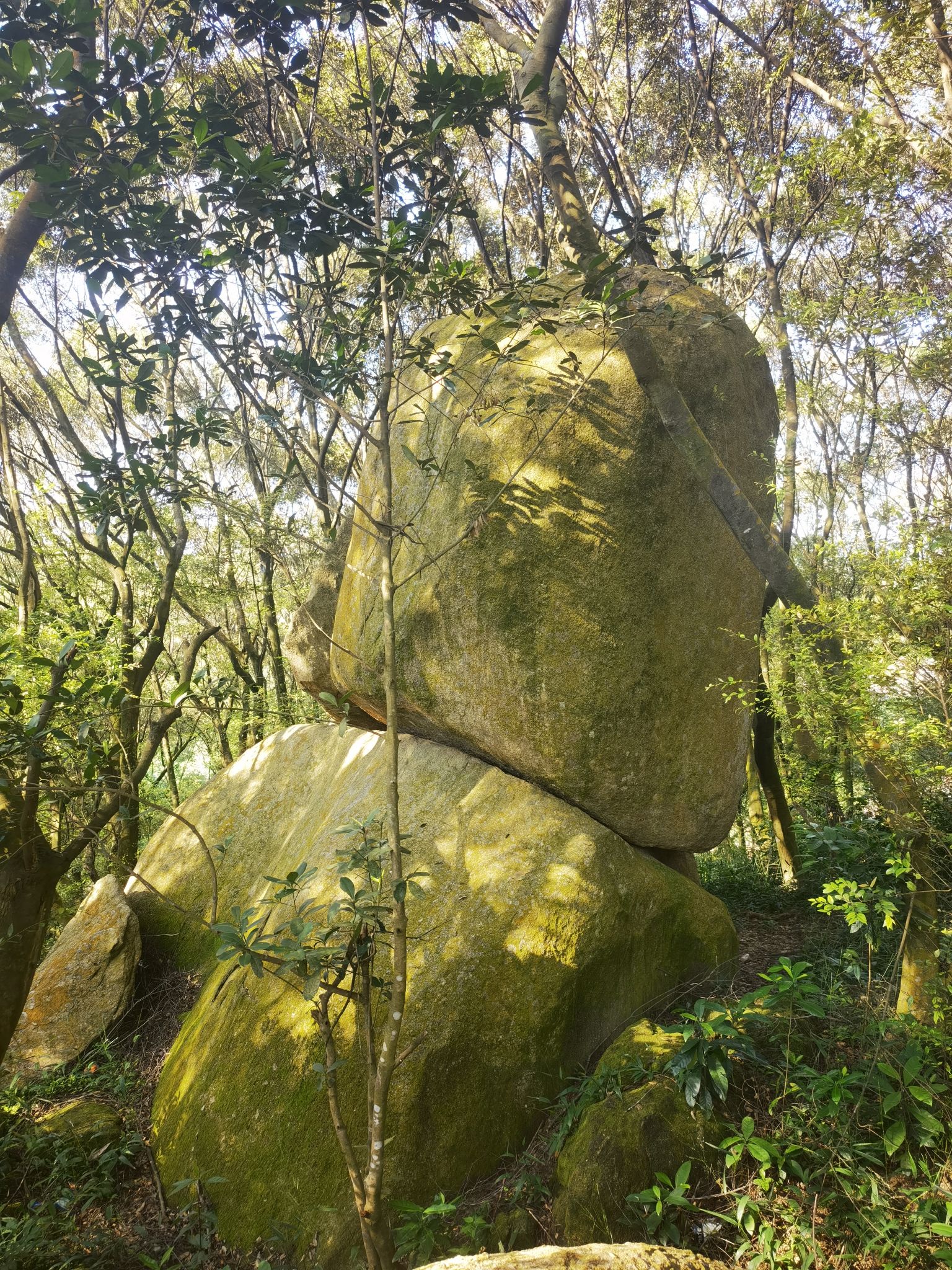 白云坡森林公园旅行图片 1
