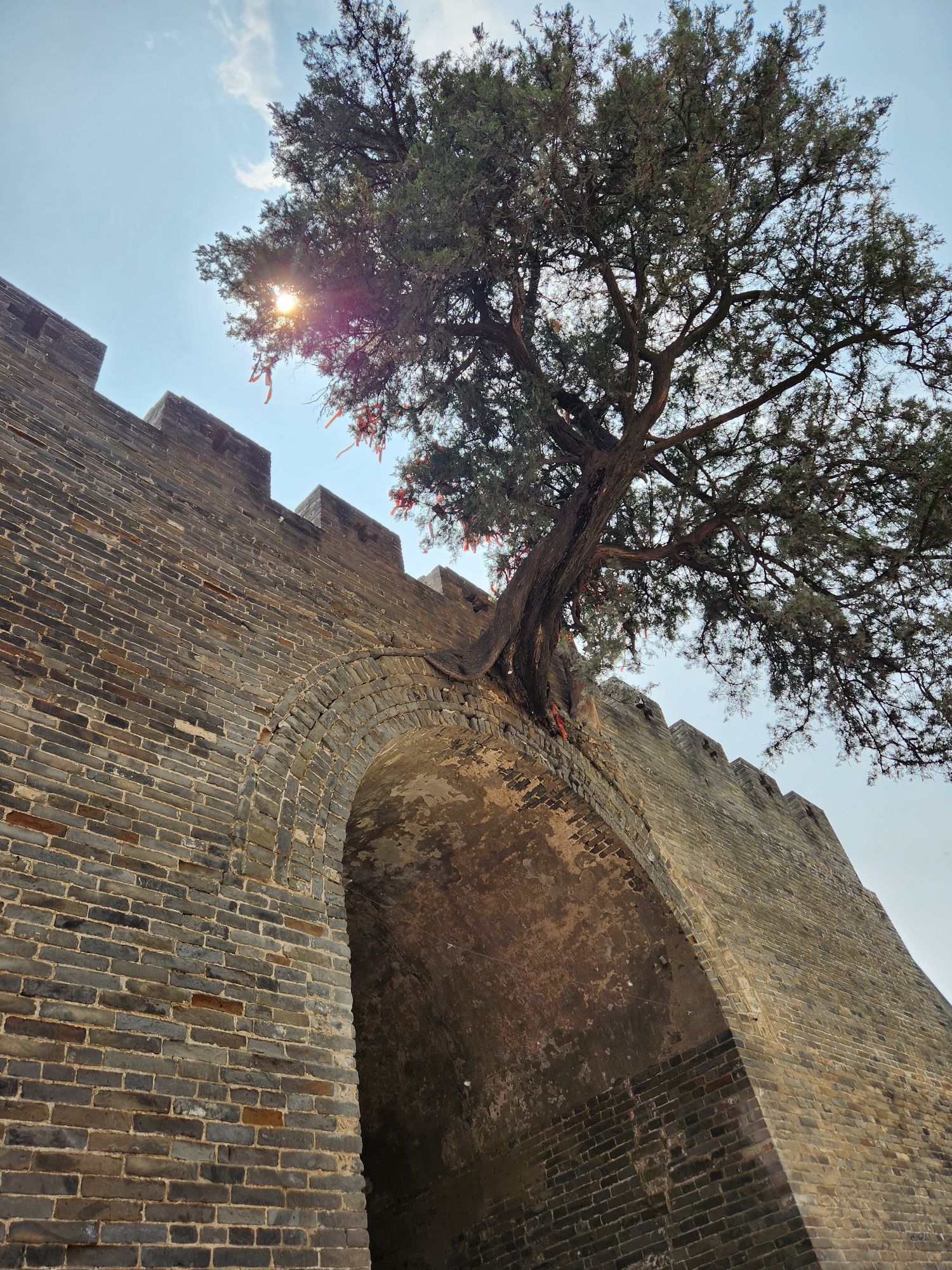 洧川镇南城门旅行图片 2