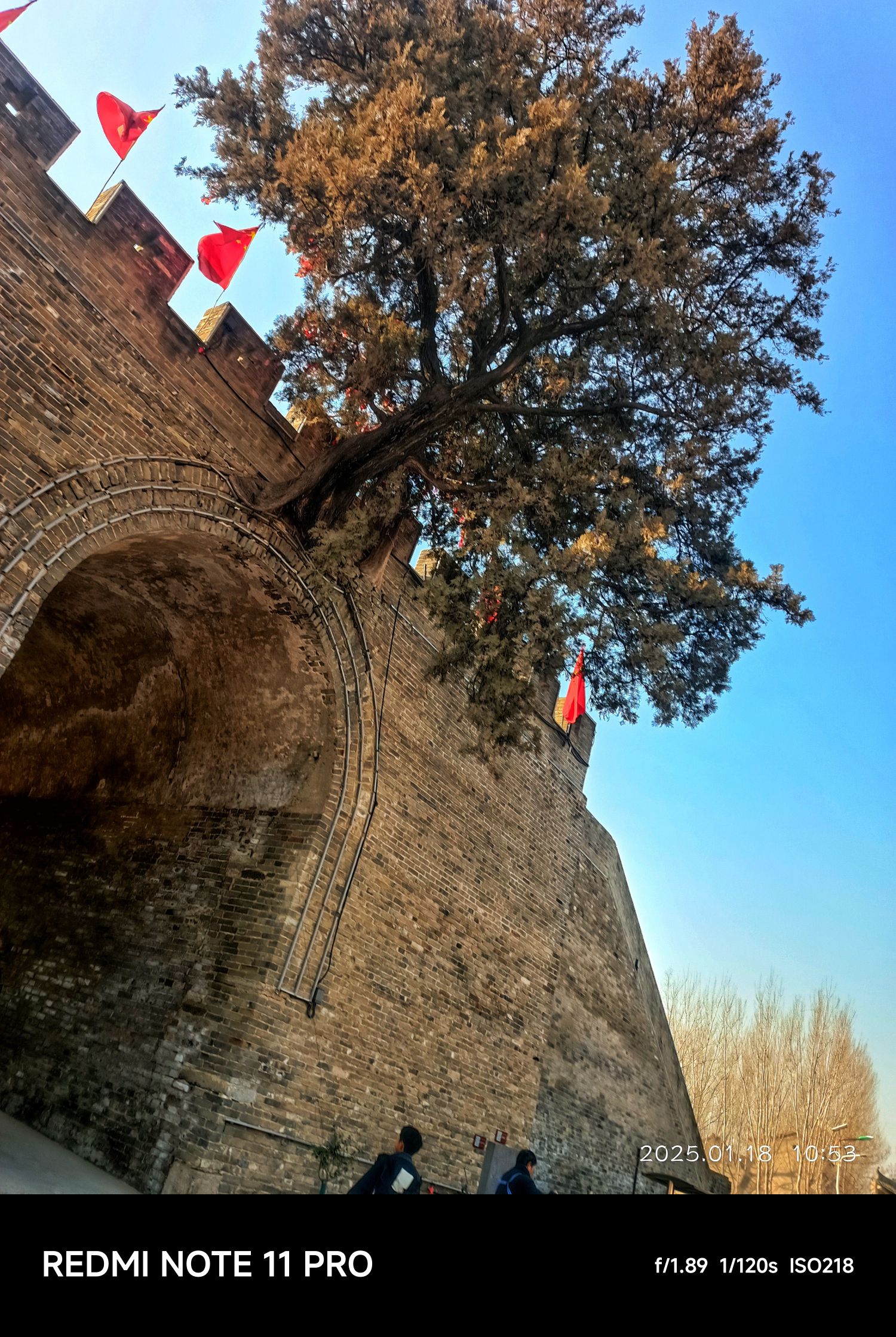 洧川镇南城门旅行图片 1