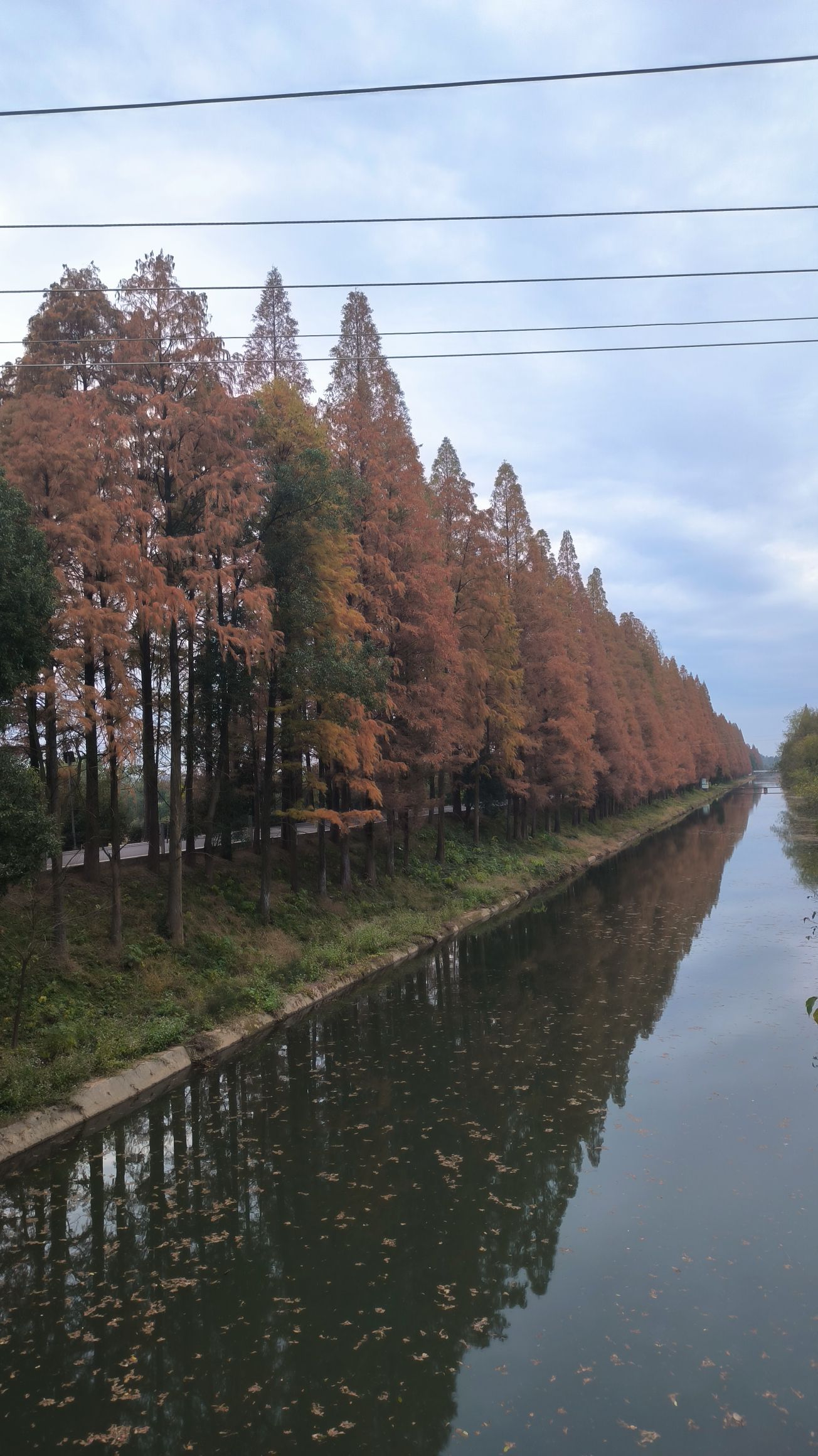 金洲筒车主题公园旅行图片 1