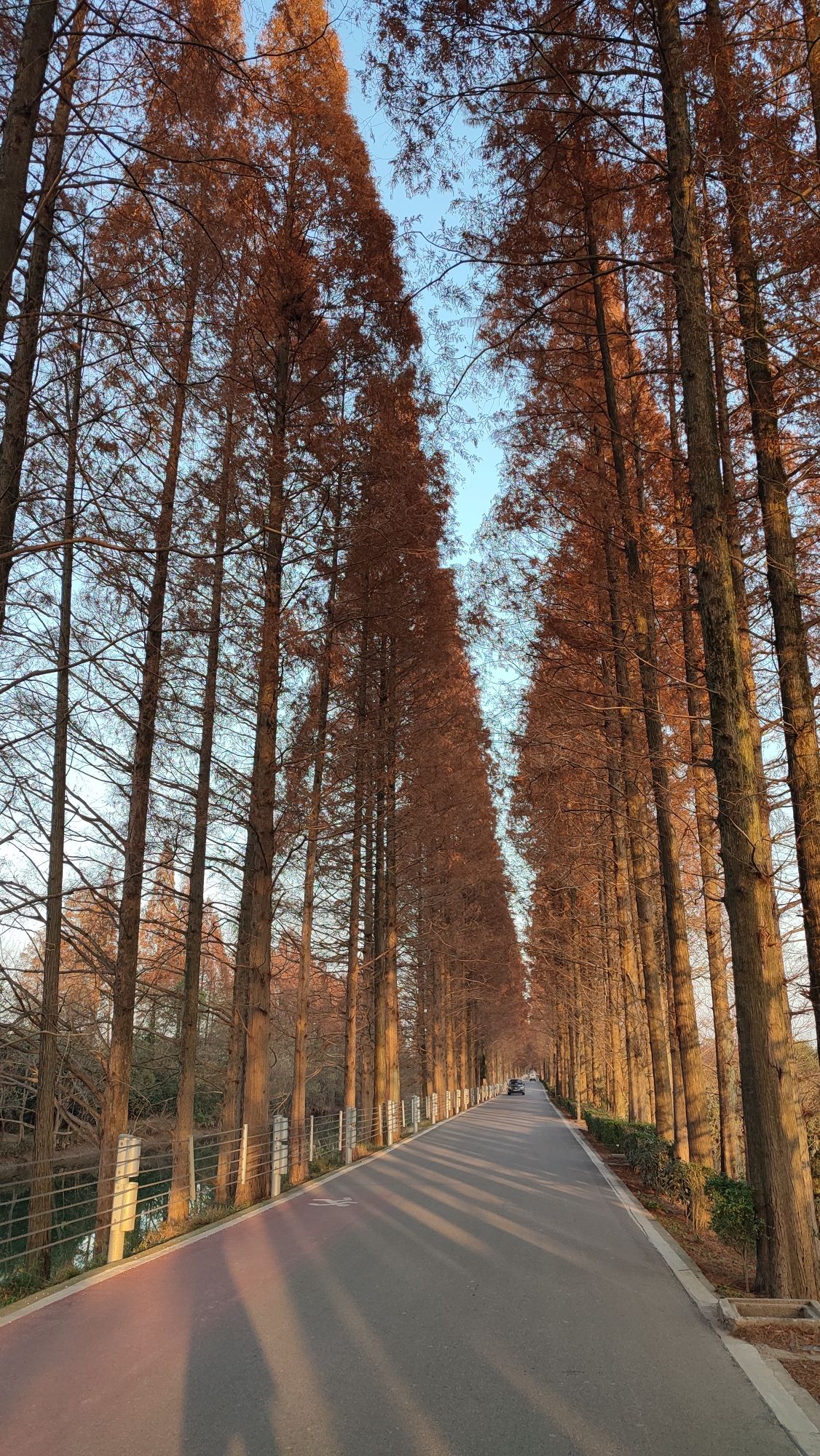 金洲筒车主题公园旅行图片 3