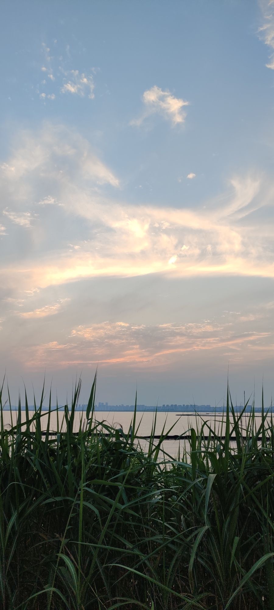 长洲苑湿地公园旅行图片 3