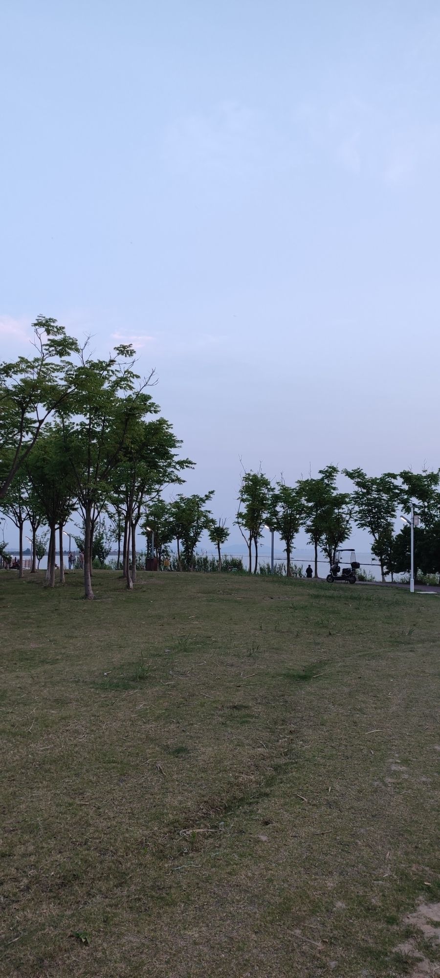 长洲苑湿地公园旅行图片 2