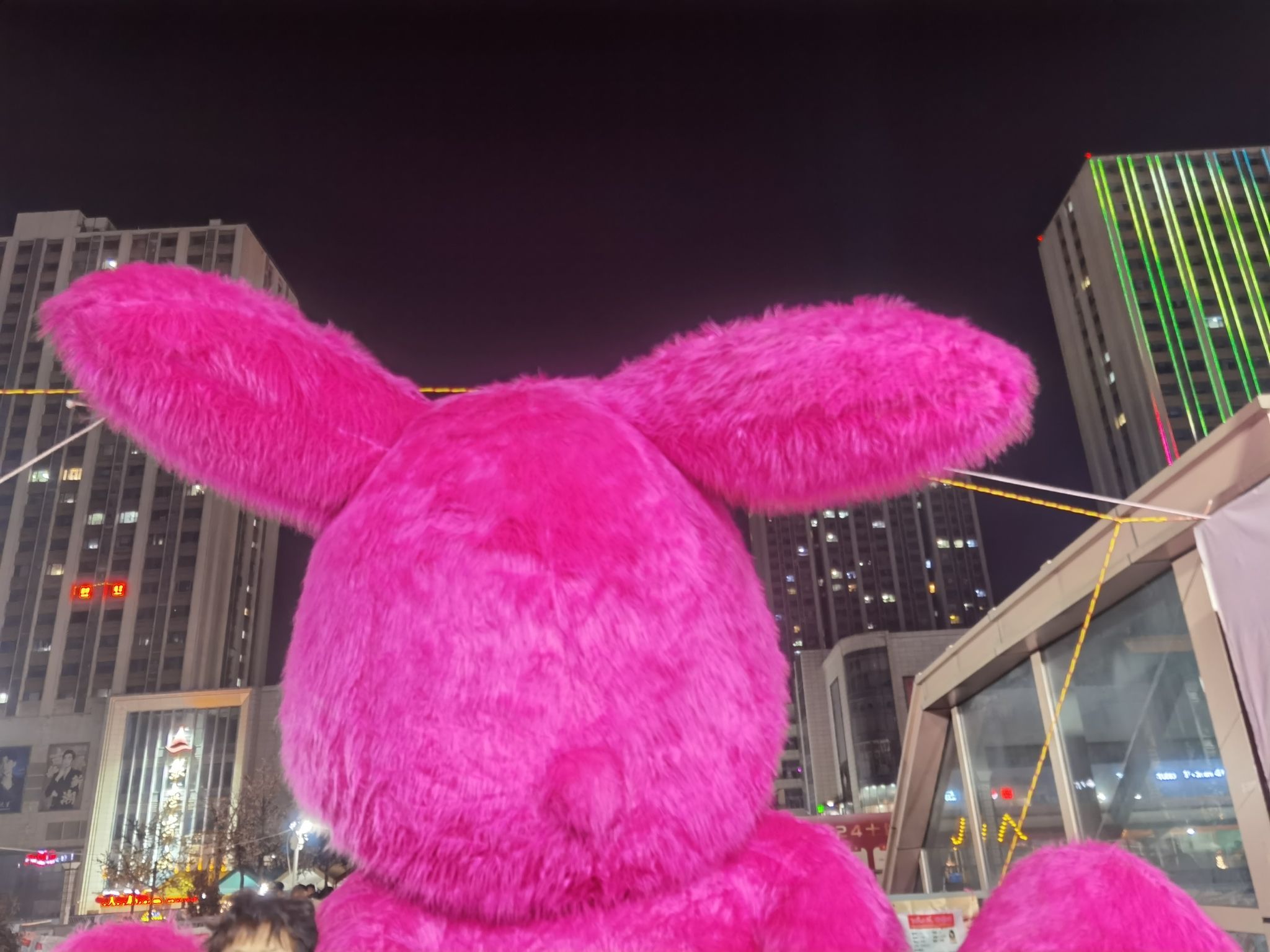玫瑰广场旅行图片 2